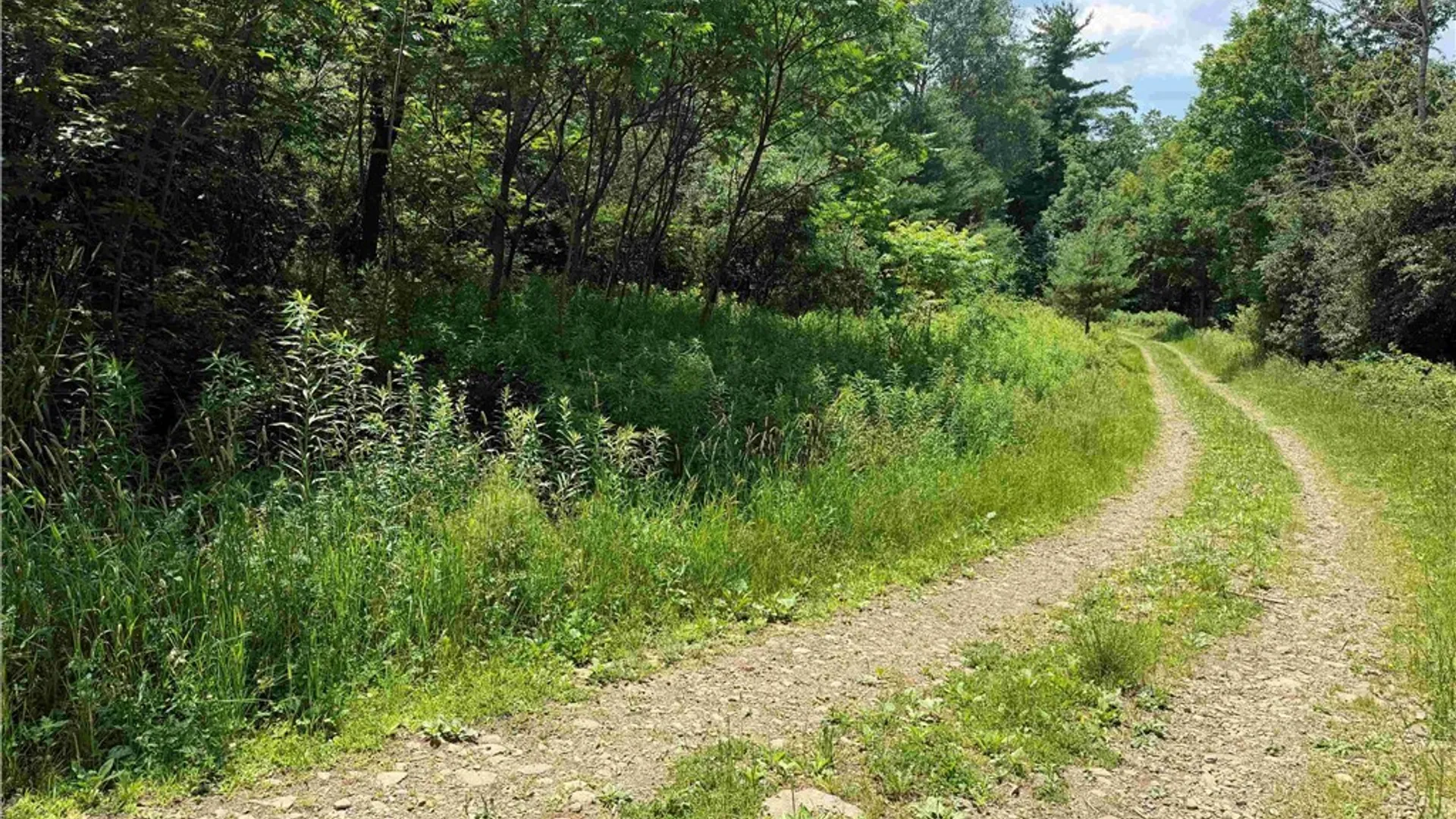 Property at Cr-17, Belfast, NY 14711 16
