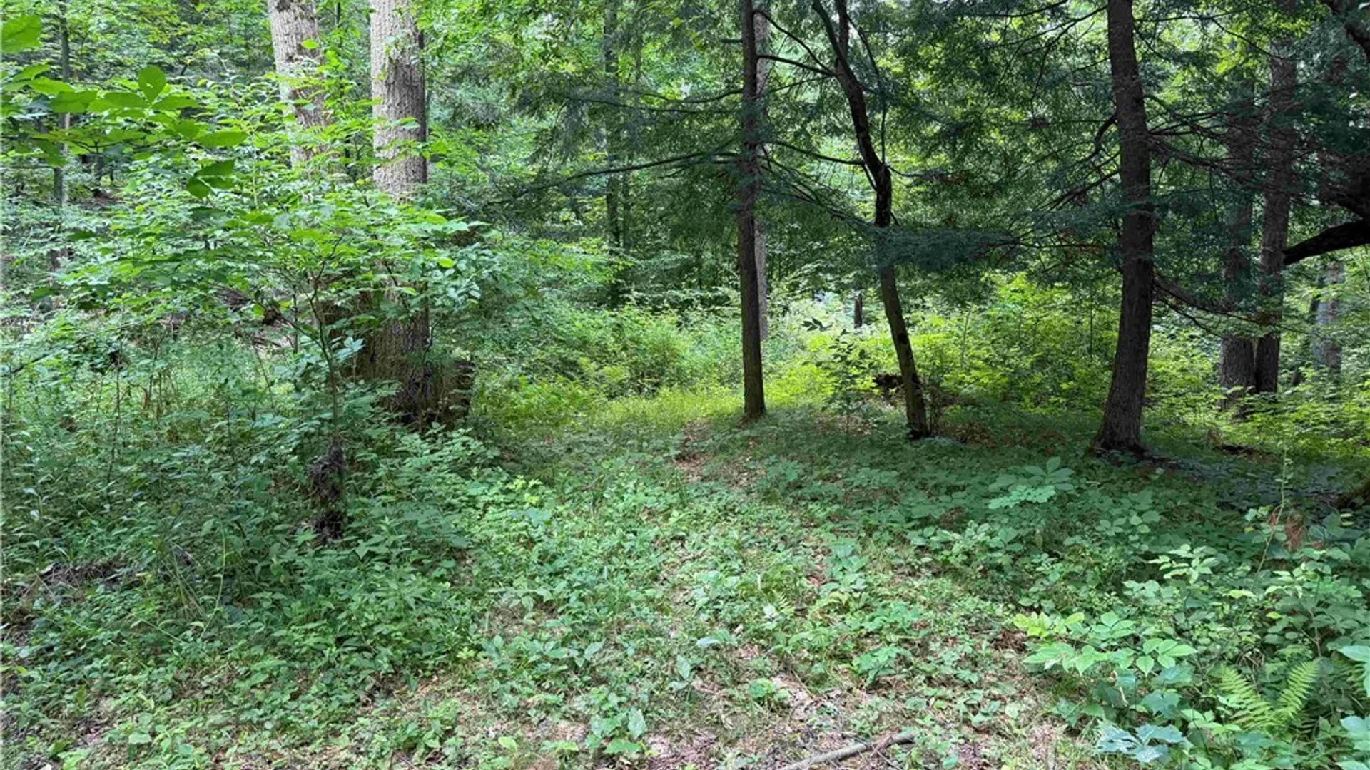Property at Cr-17, Belfast, NY 14711 4