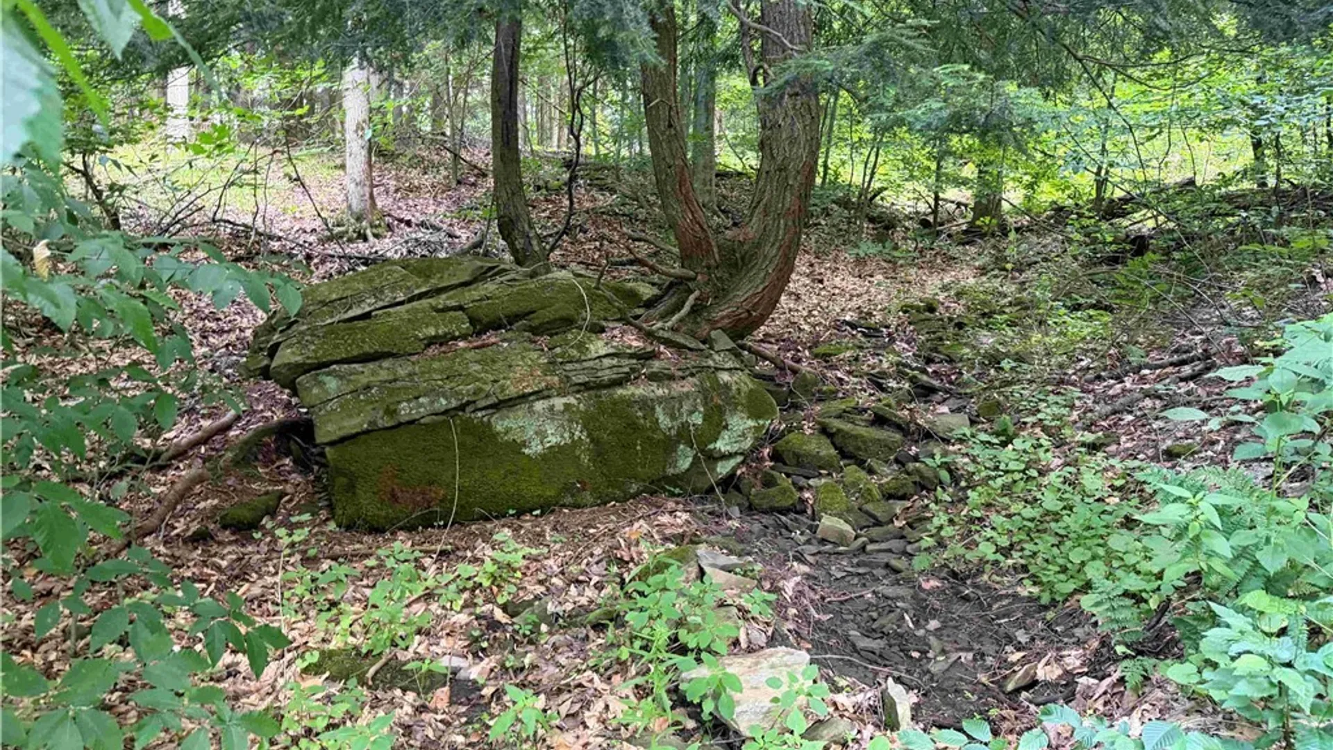 Property at Cr-17, Belfast, NY 14711 5