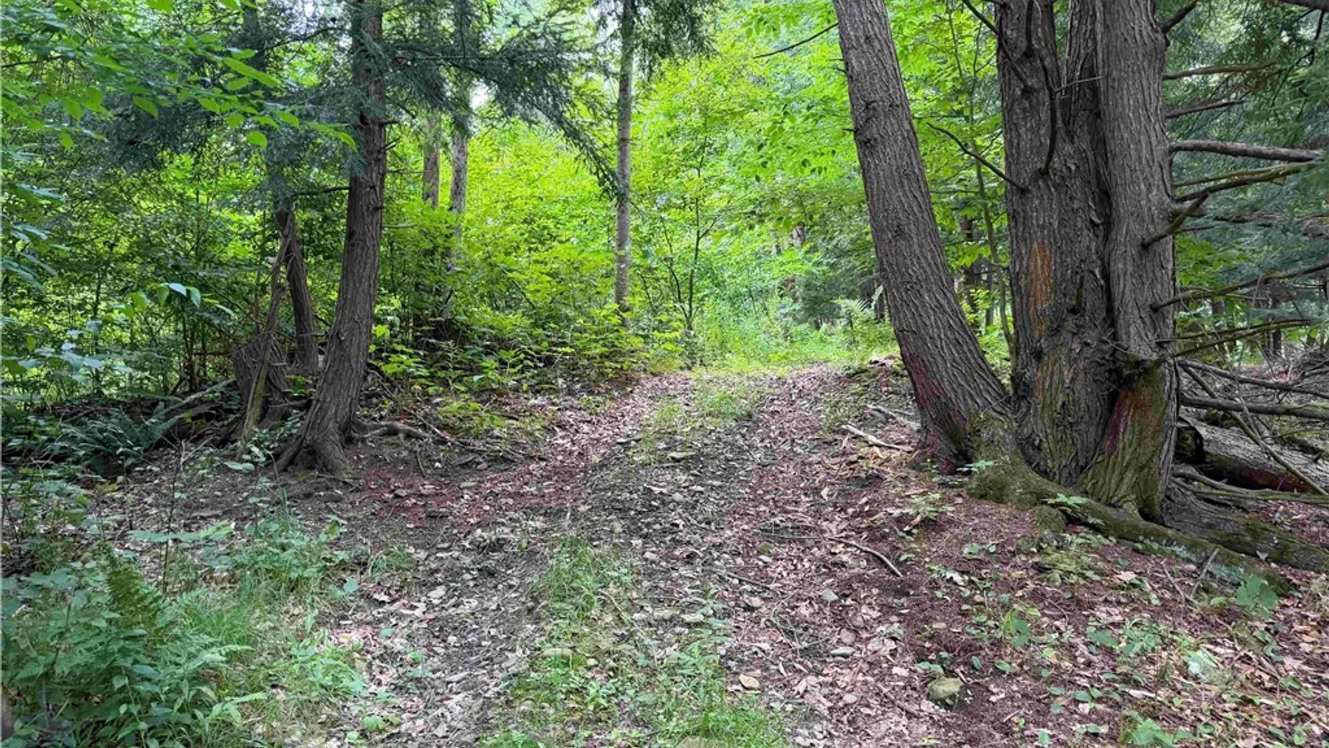 Property at Cr-17, Belfast, NY 14711 6