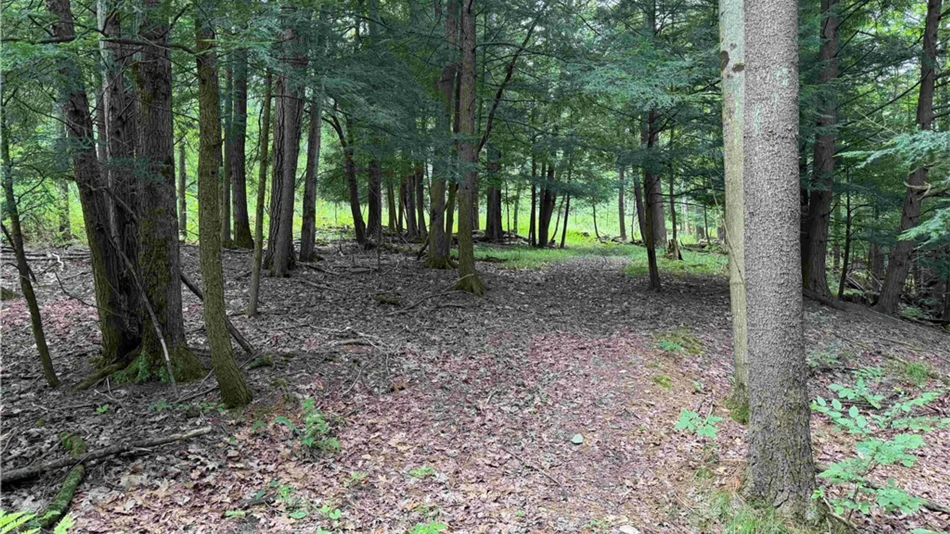 Property at Cr-17, Belfast, NY 14711 7