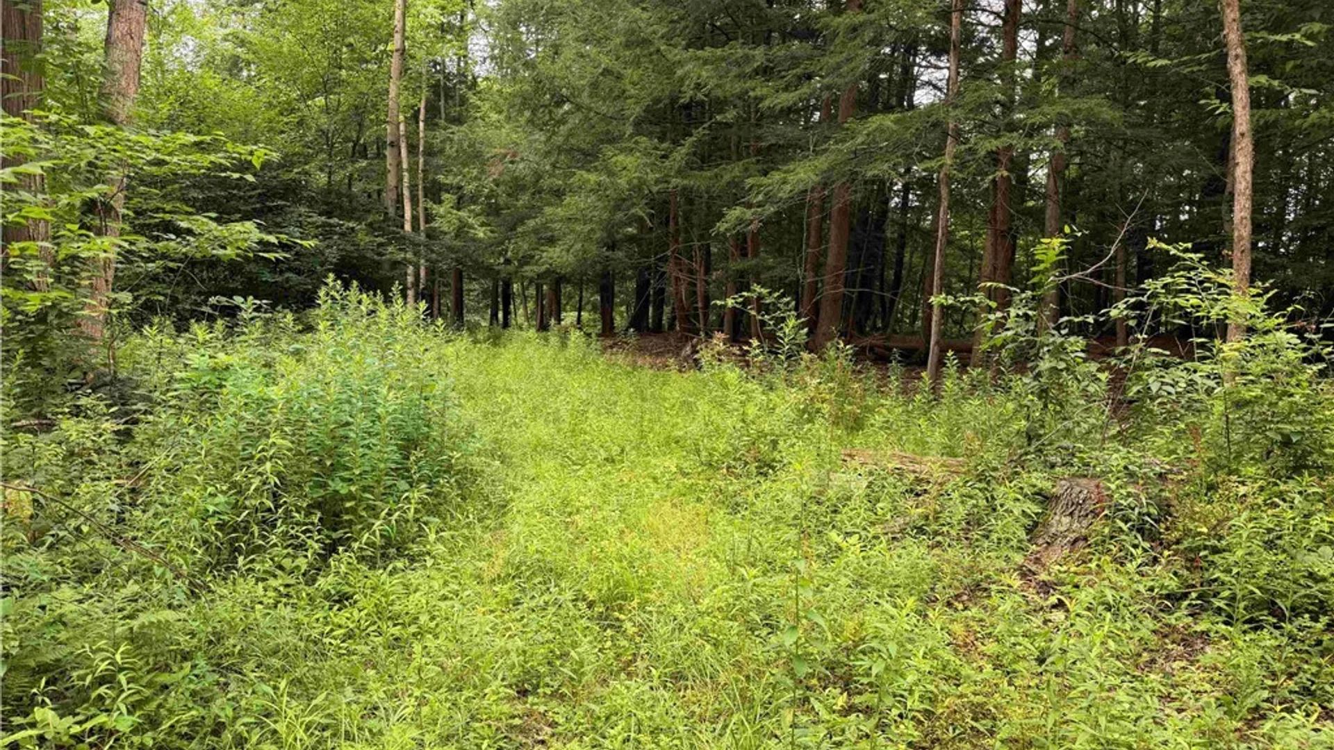 Property at Cr-17, Belfast, NY 14711 9