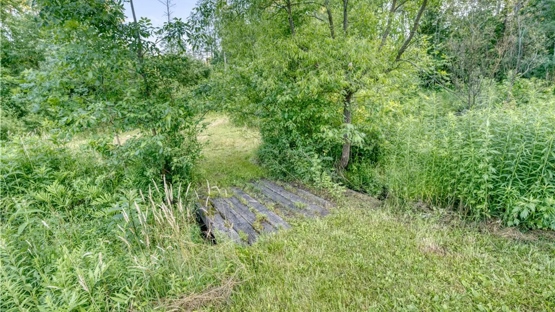 Property at 3451 Bard Road, Arkwright, NY 14718 11