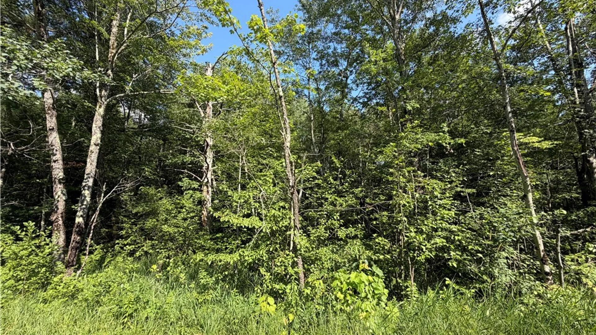 Property at 0 CR 27, Russell, NY 13684 10