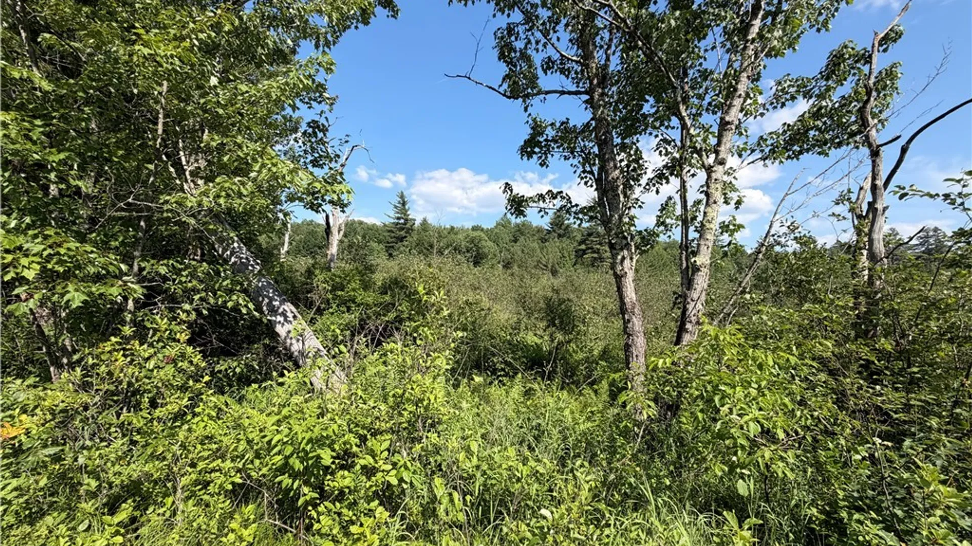 Property at 0 CR 27, Russell, NY 13684 4