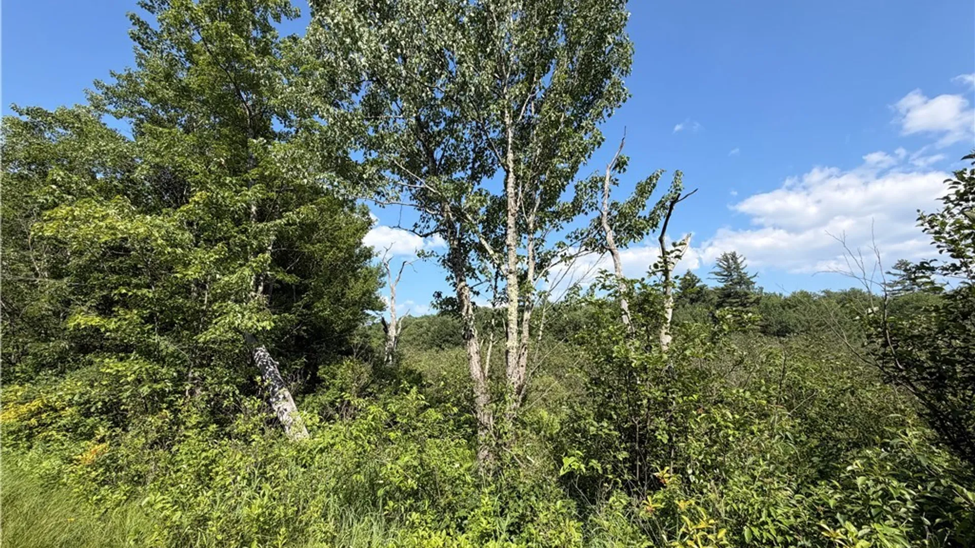 Property at 0 CR 27, Russell, NY 13684 5