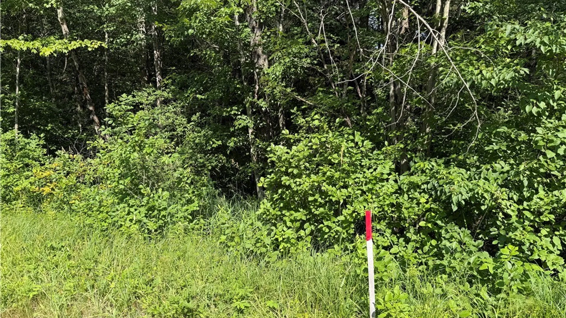 Property at 0 CR 27, Russell, NY 13684 6