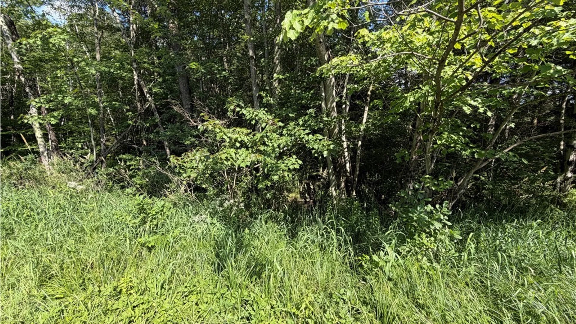 Property at 0 CR 27, Russell, NY 13684 7