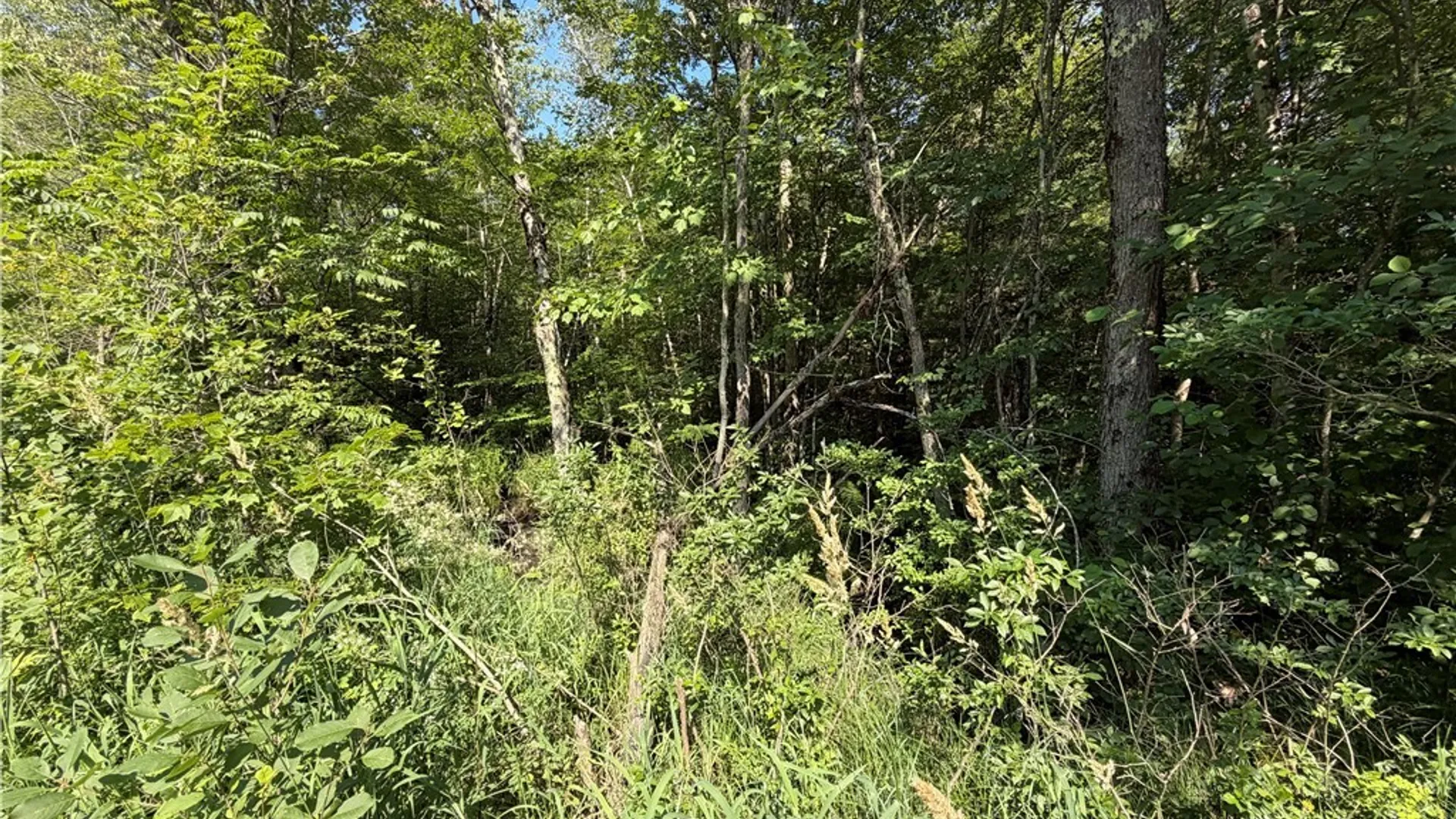 Property at 0 CR 27, Russell, NY 13684 8