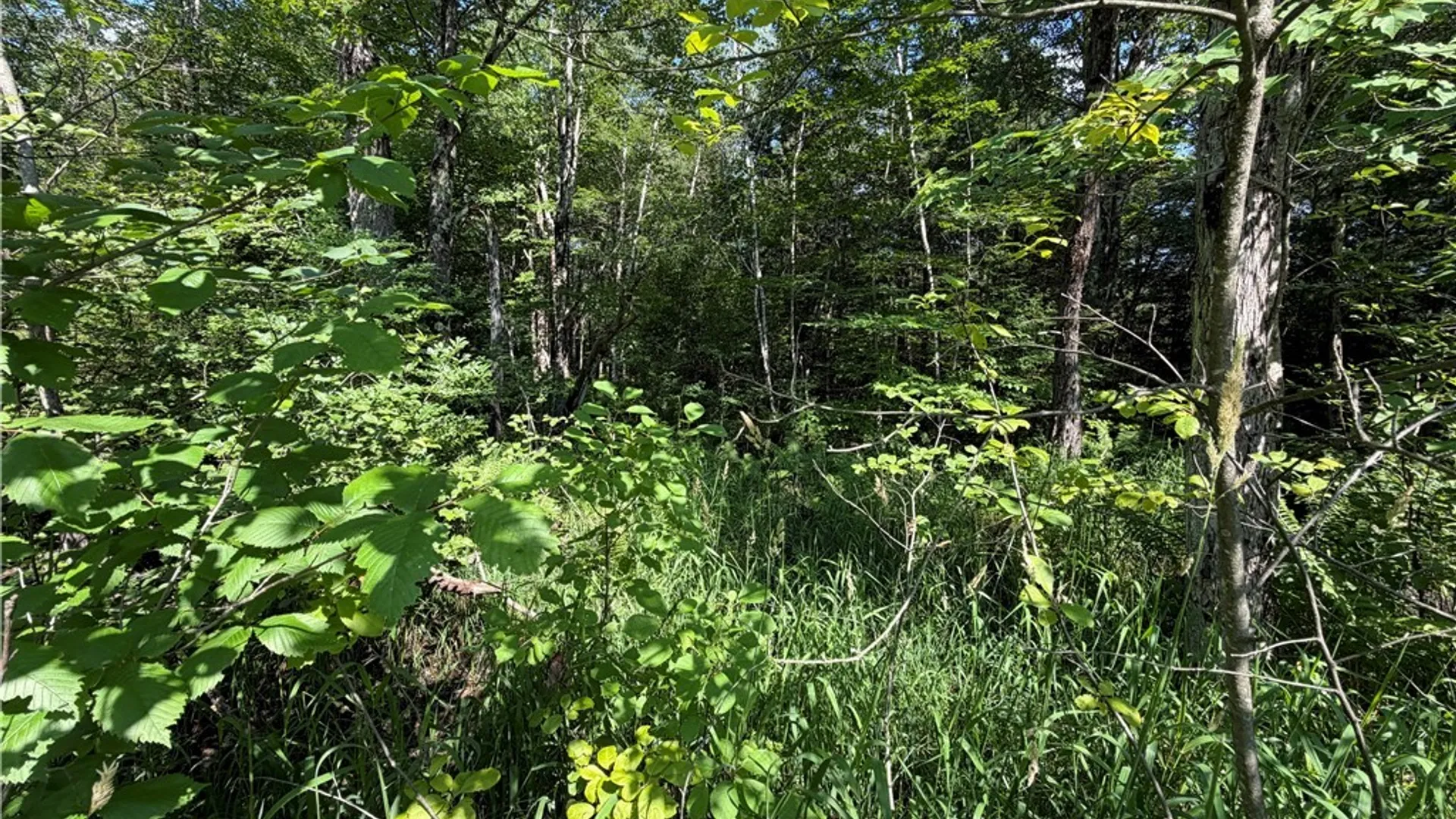 Property at 0 CR 27, Russell, NY 13684 9