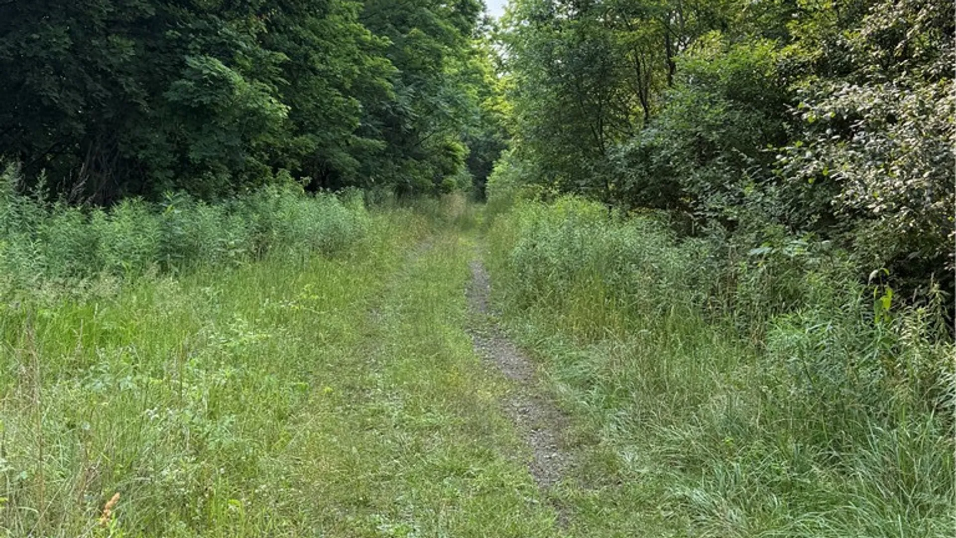 Property at 0 State Route 224, Catharine, NY 14869 2