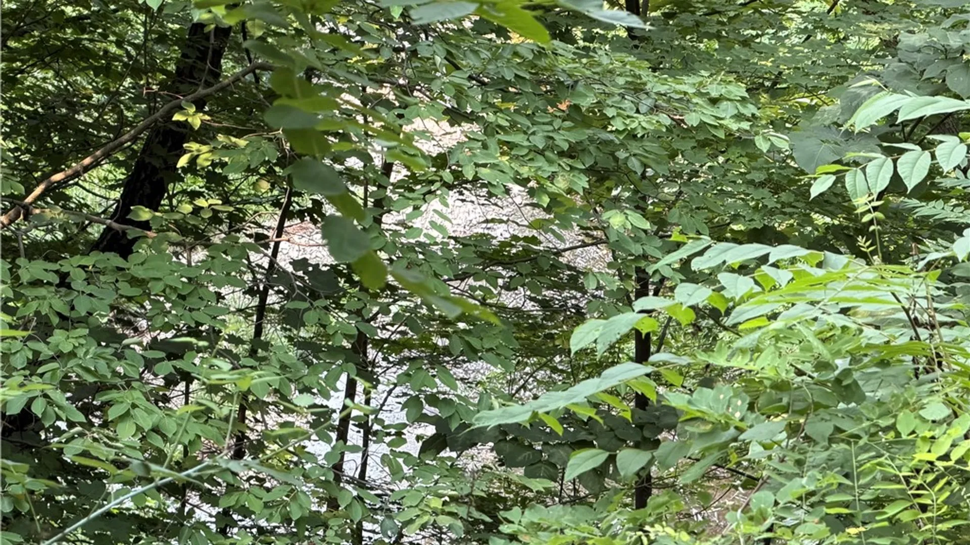 Property at 0 State Route 224, Catharine, NY 14869 5