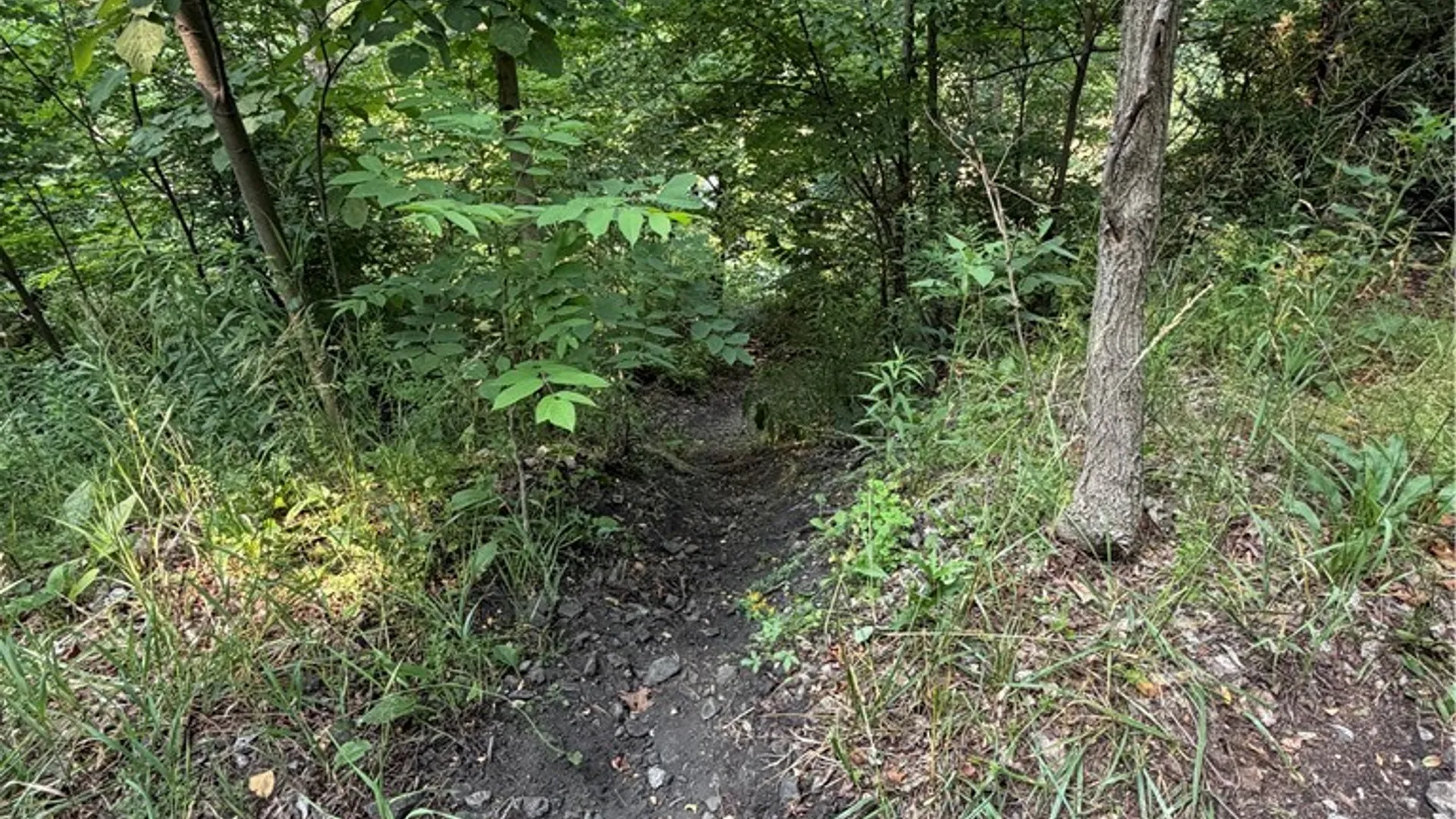 Property at 0 State Route 224, Catharine, NY 14869 6