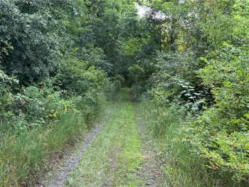 Property at 0 State Route 224, Catharine, NY 14869