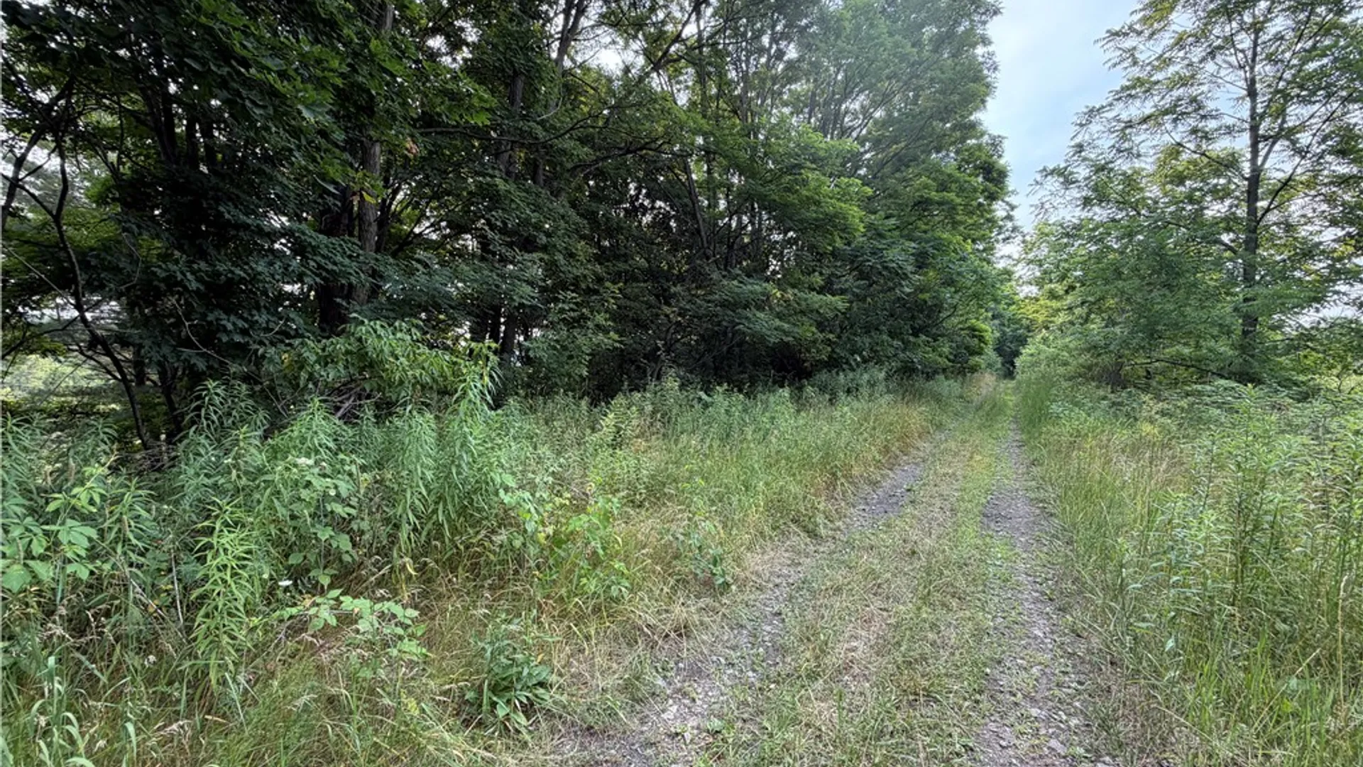 Property at 0 State Route 224, Catharine, NY 14869 4