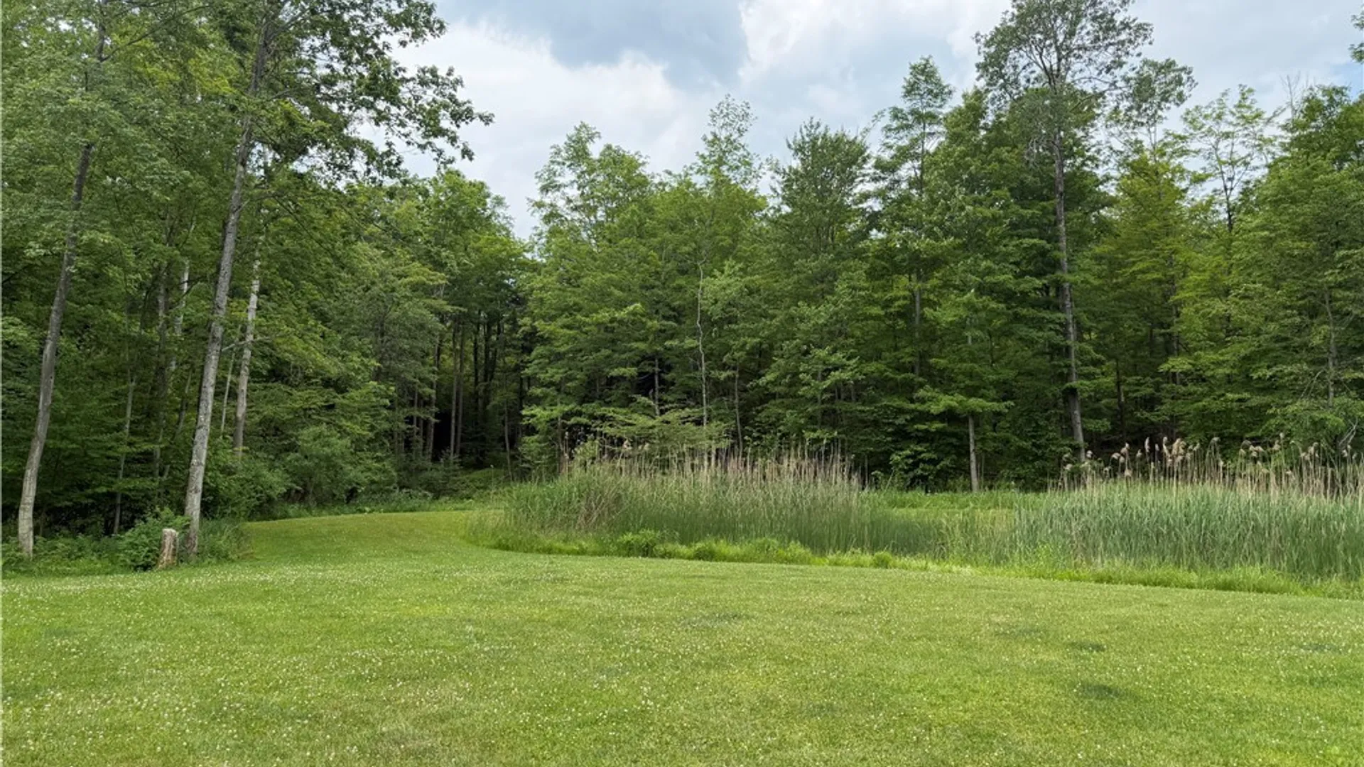 Property at 9039 Kidder Road, Mina, NY 14781 11