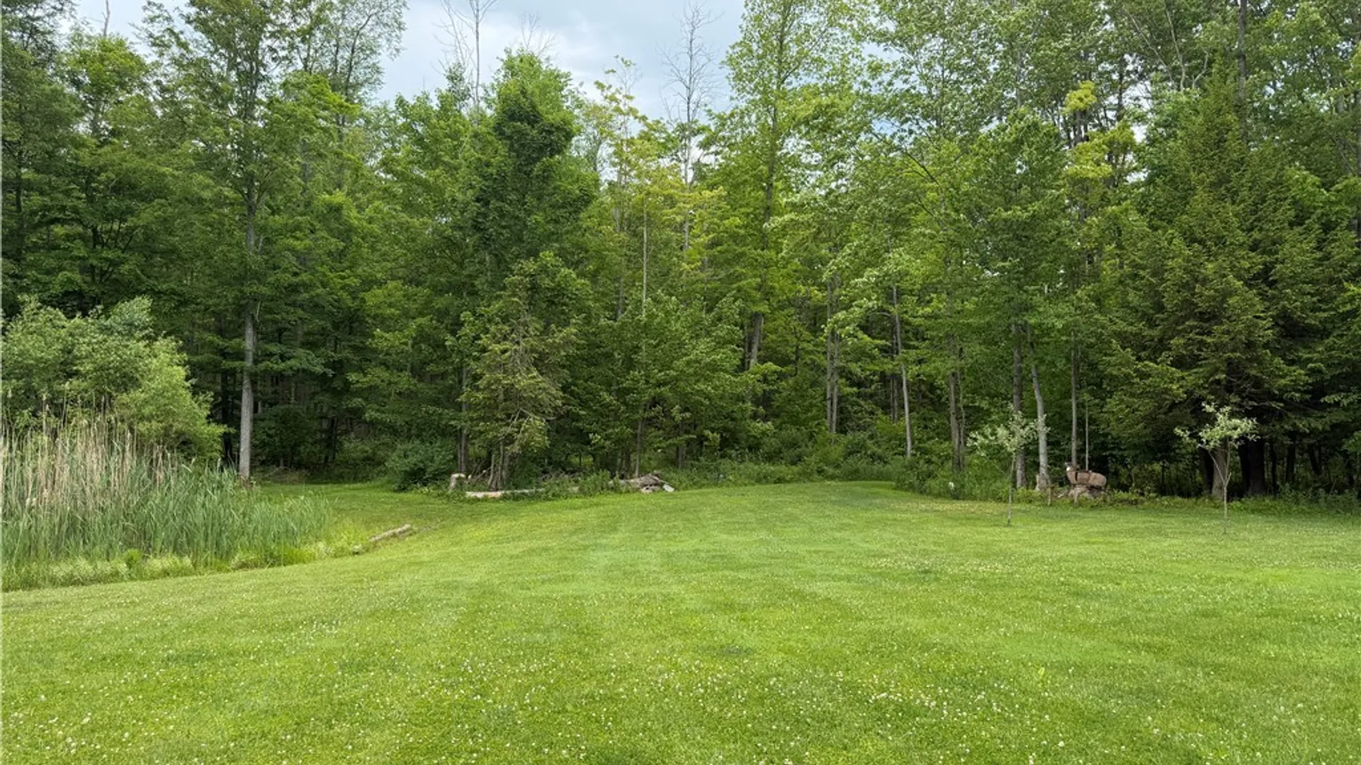 Property at 9039 Kidder Road, Mina, NY 14781 13