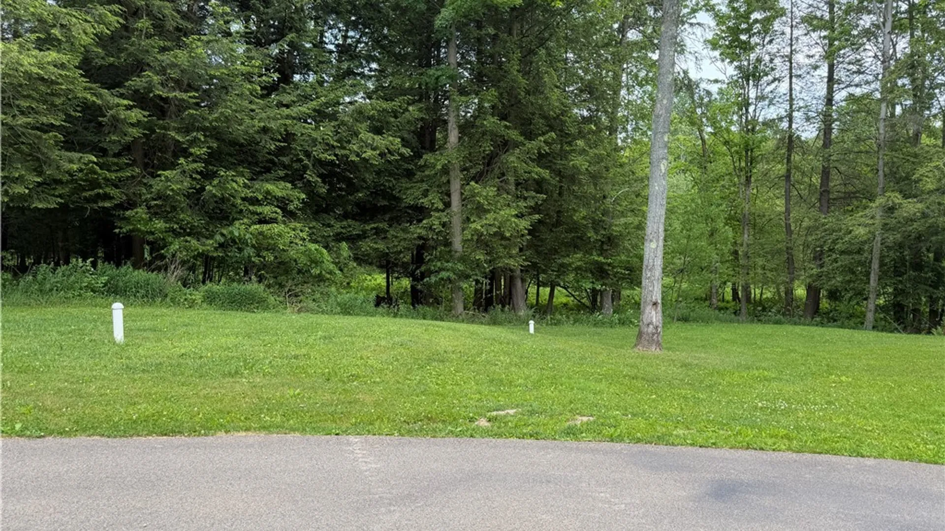 Property at 9039 Kidder Road, Mina, NY 14781 9