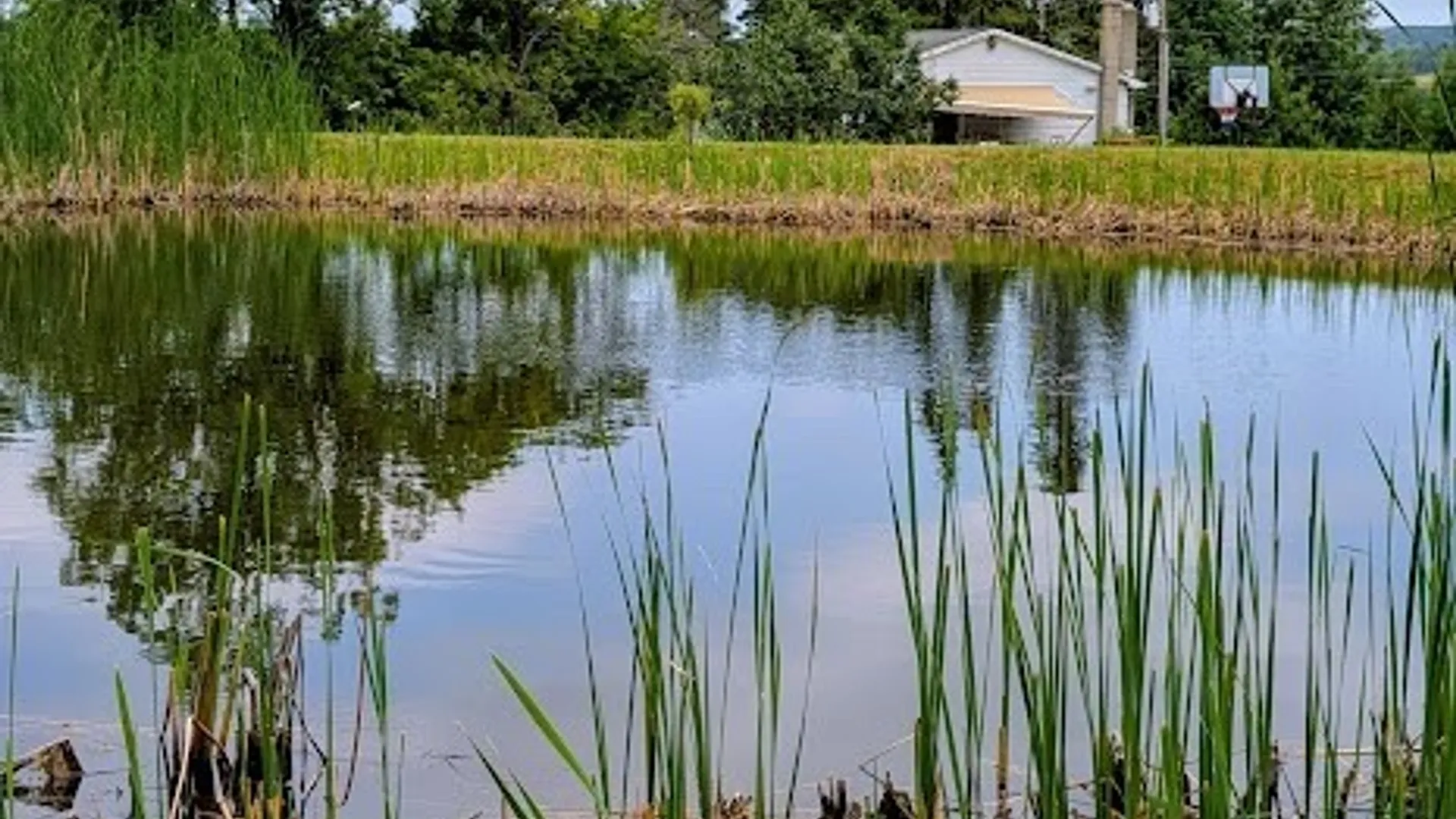 Property at 10095 Route 242, Napoli, NY 14755 3