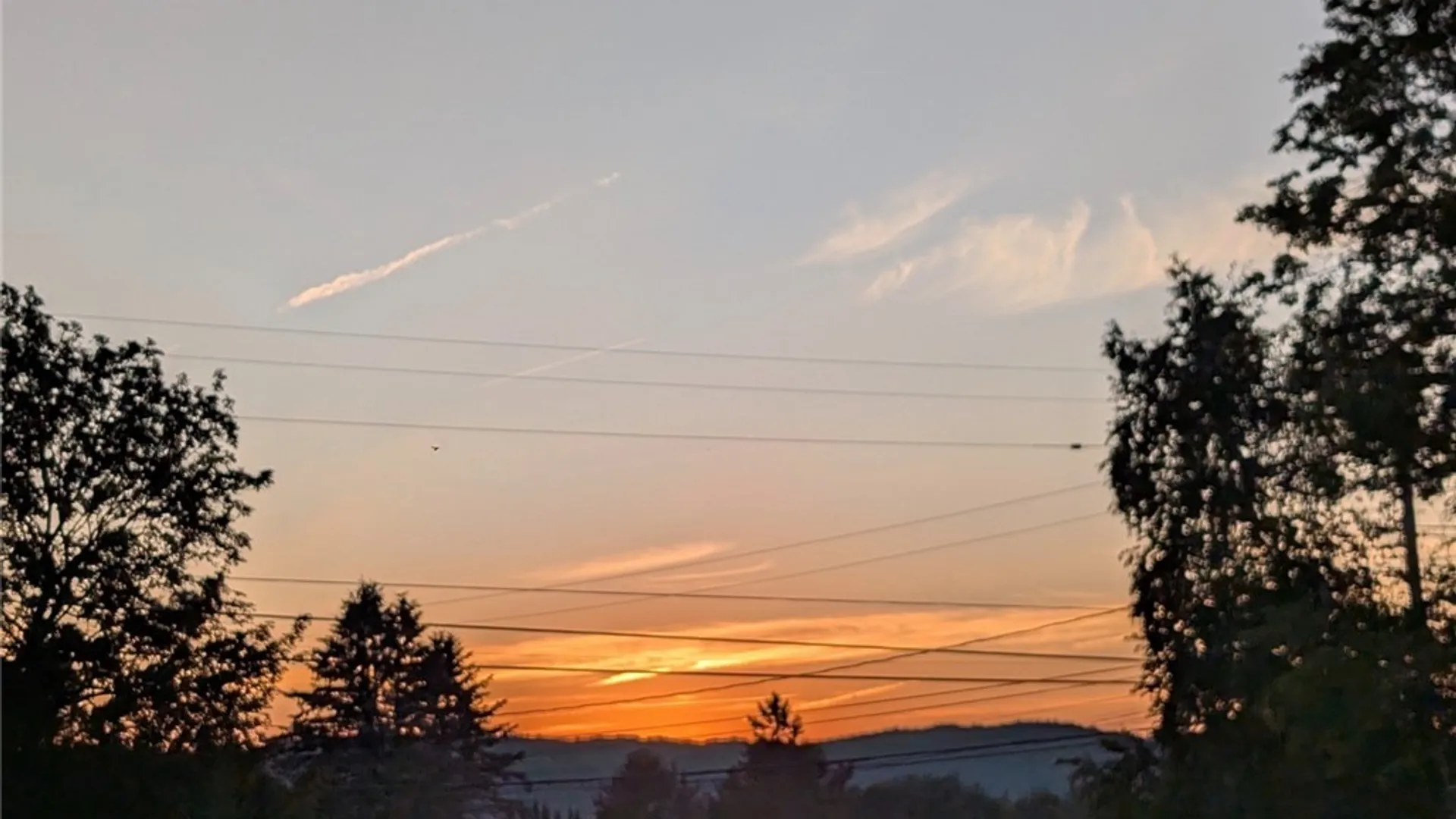 Property at 10095 Route 242, Napoli, NY 14755 9