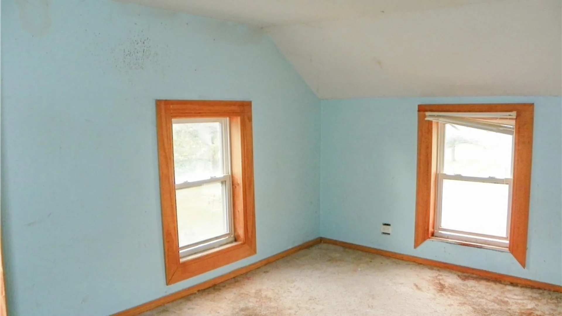 Property at 231 Palmer Street, Watertown City, NY 13601 17