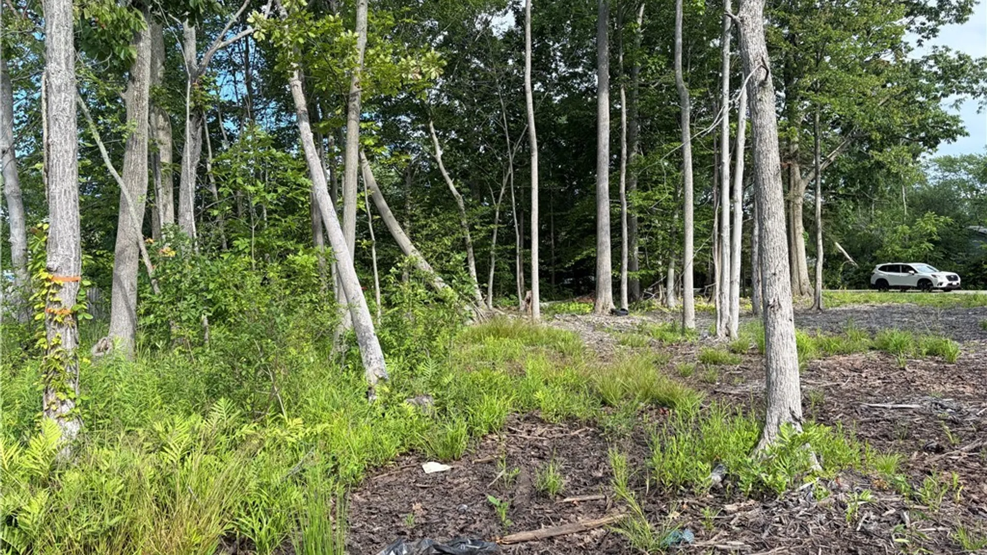 Property at 337 Kennedy Avenue, Evans, NY 14006 8