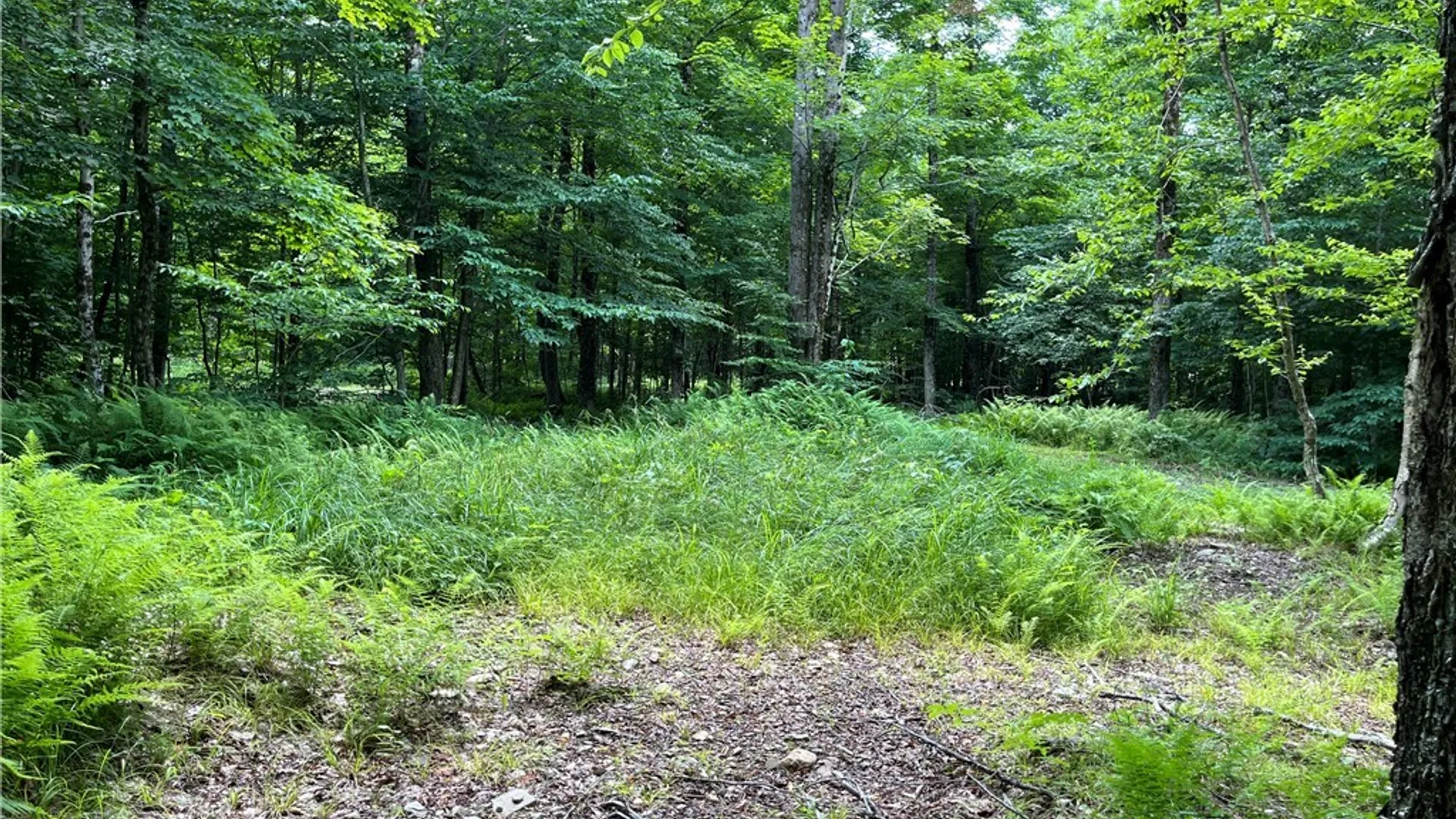 Property at E of Town Line Road, Worth, NY 13659 15