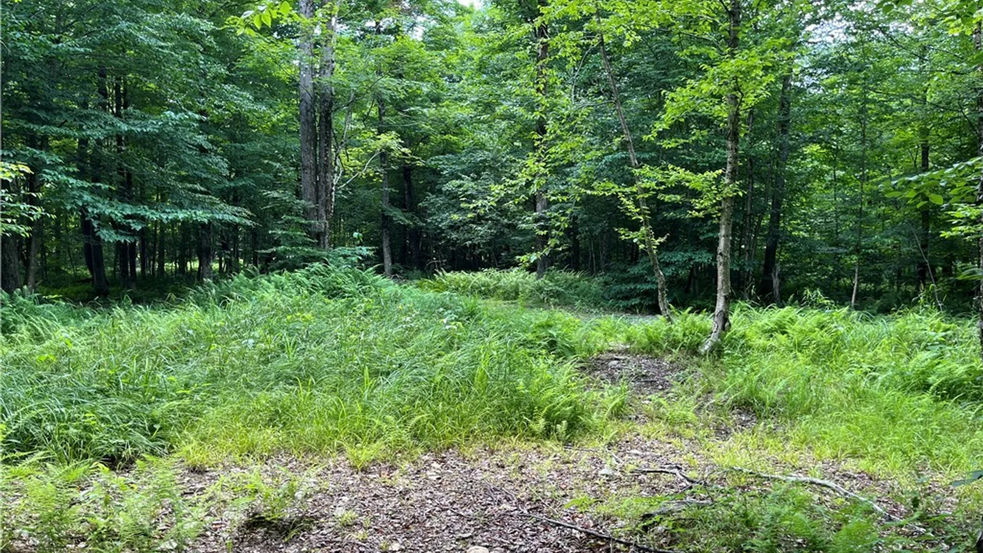 Property at E of Town Line Road, Worth, NY 13659 16