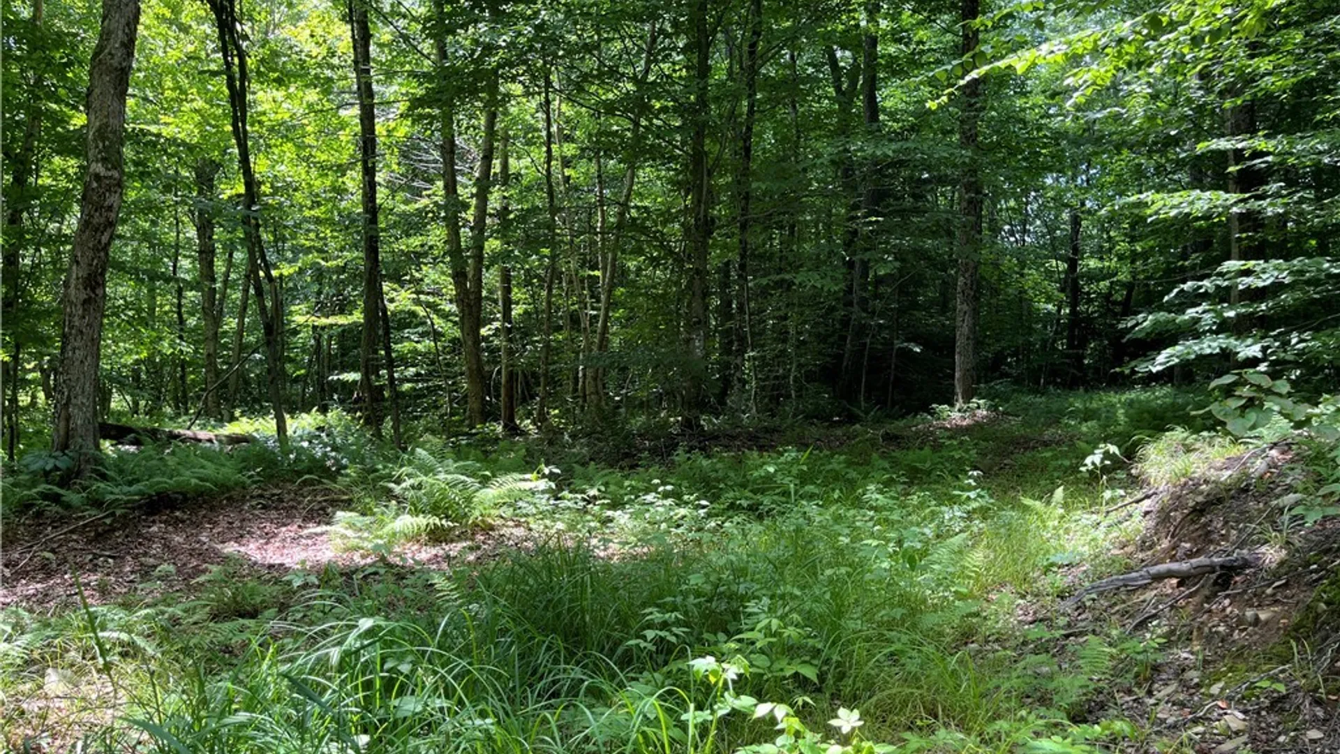 Property at E of Town Line Road, Worth, NY 13659 17