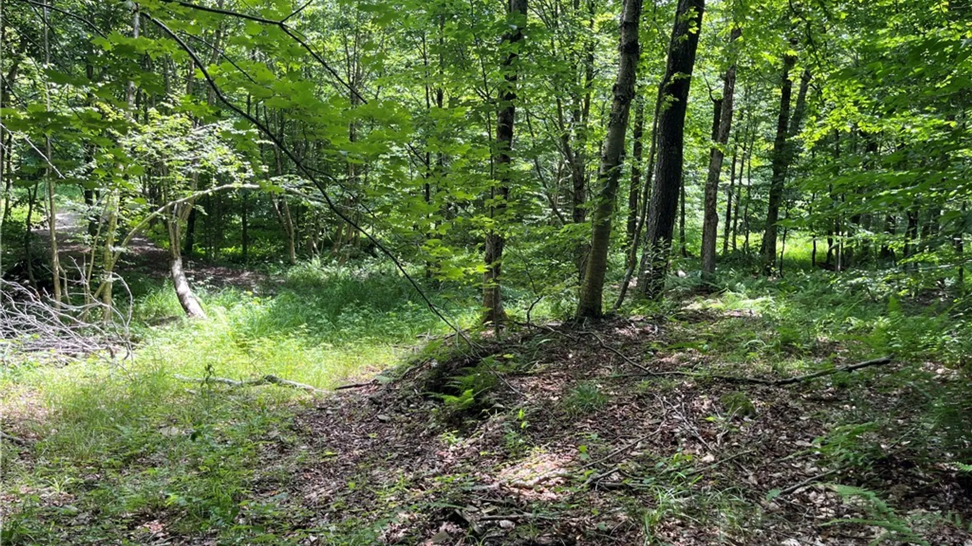 Property at E of Town Line Road, Worth, NY 13659 18
