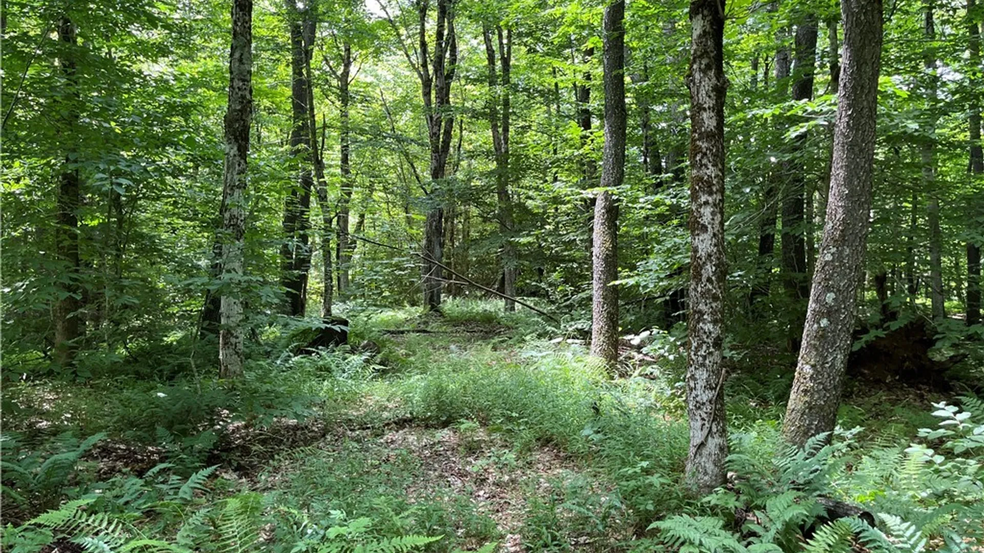 Property at E of Town Line Road, Worth, NY 13659 19