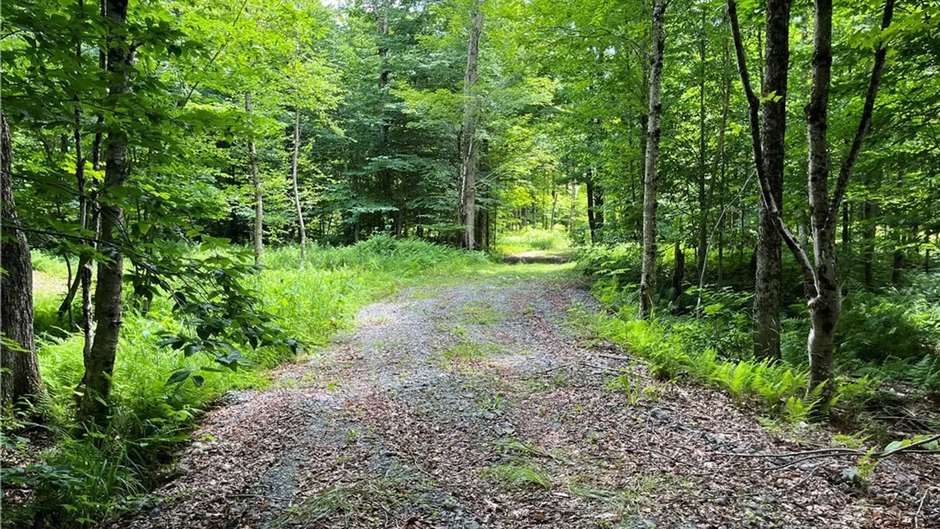 Property at E of Town Line Road, Worth, NY 13659 2
