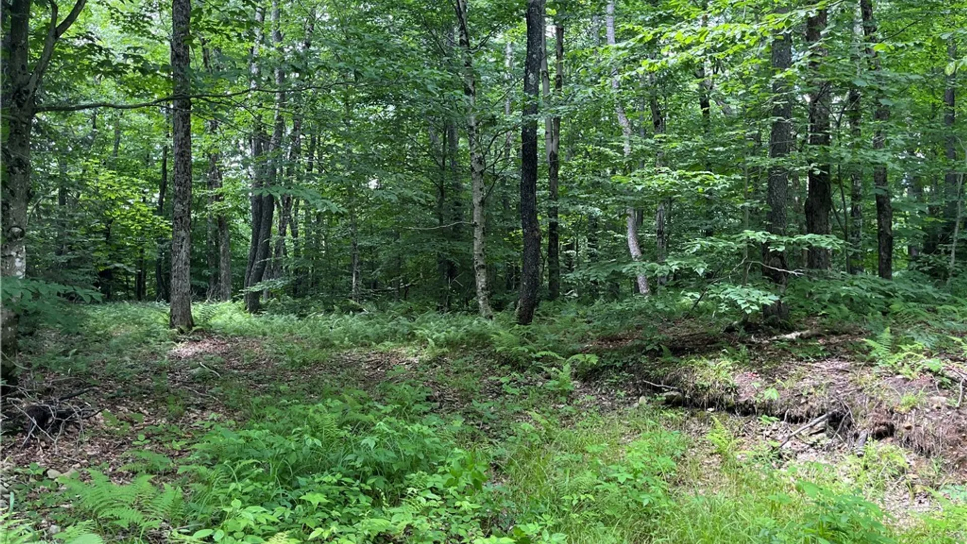 Property at E of Town Line Road, Worth, NY 13659 24