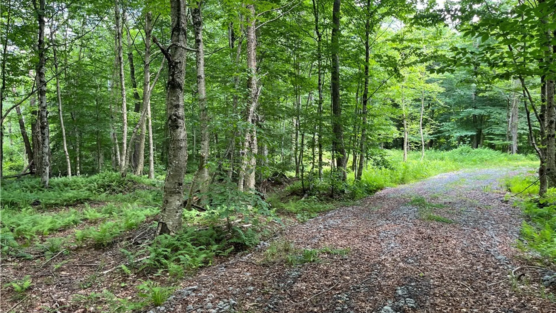 Property at E of Town Line Road, Worth, NY 13659 25