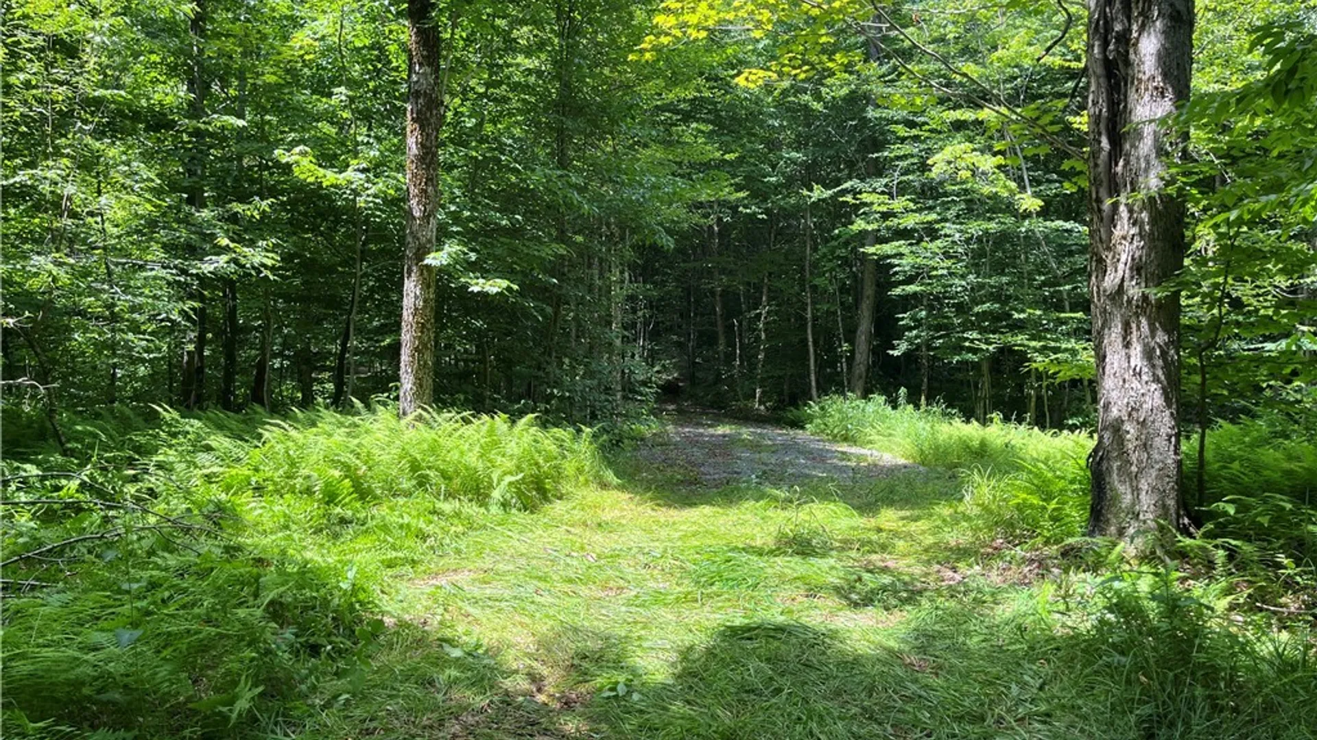 Property at E of Town Line Road, Worth, NY 13659 26