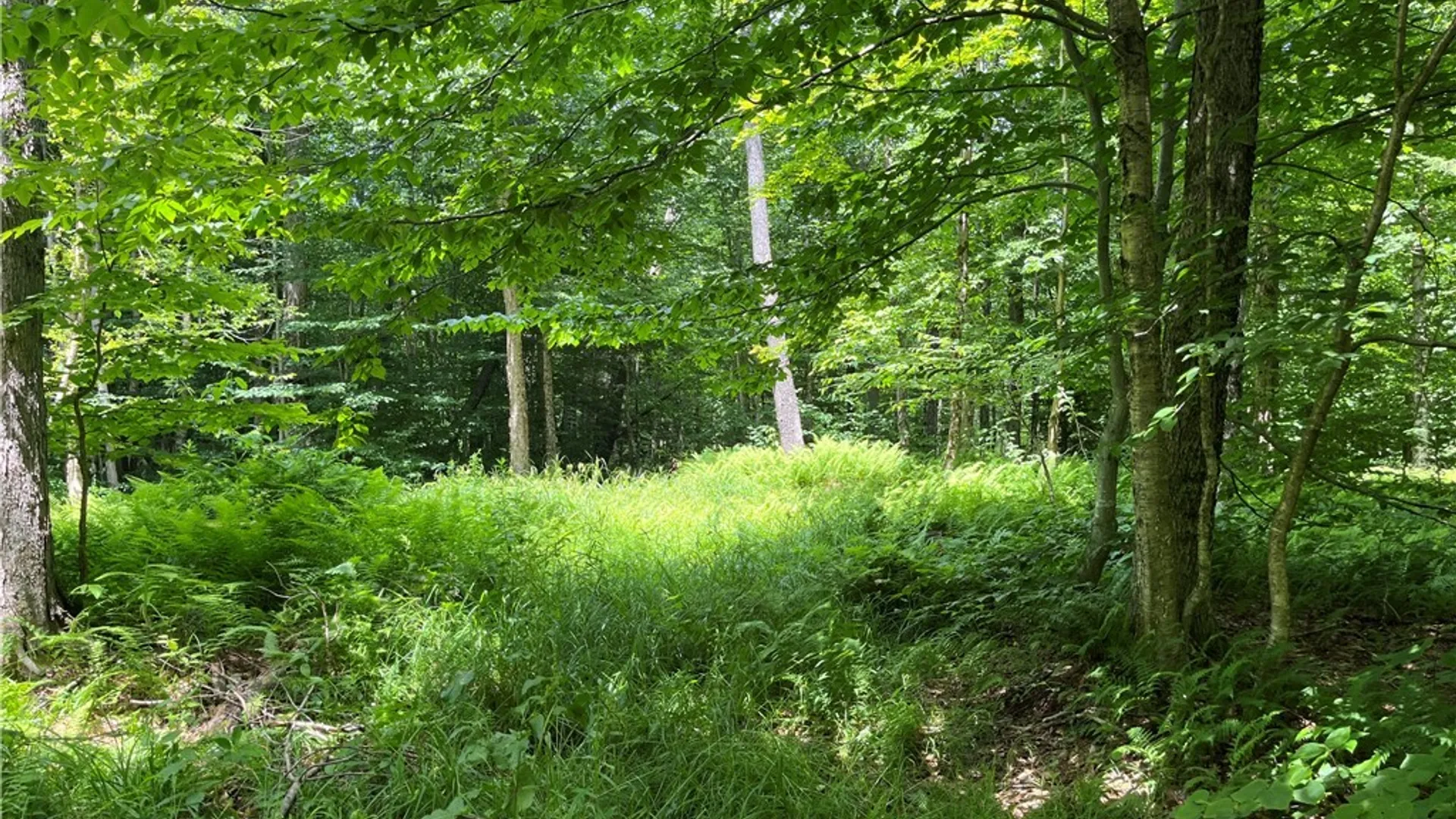 Property at E of Town Line Road, Worth, NY 13659 27