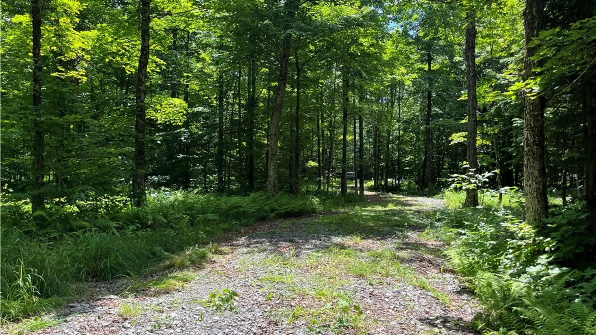Property at E of Town Line Road, Worth, NY 13659 28