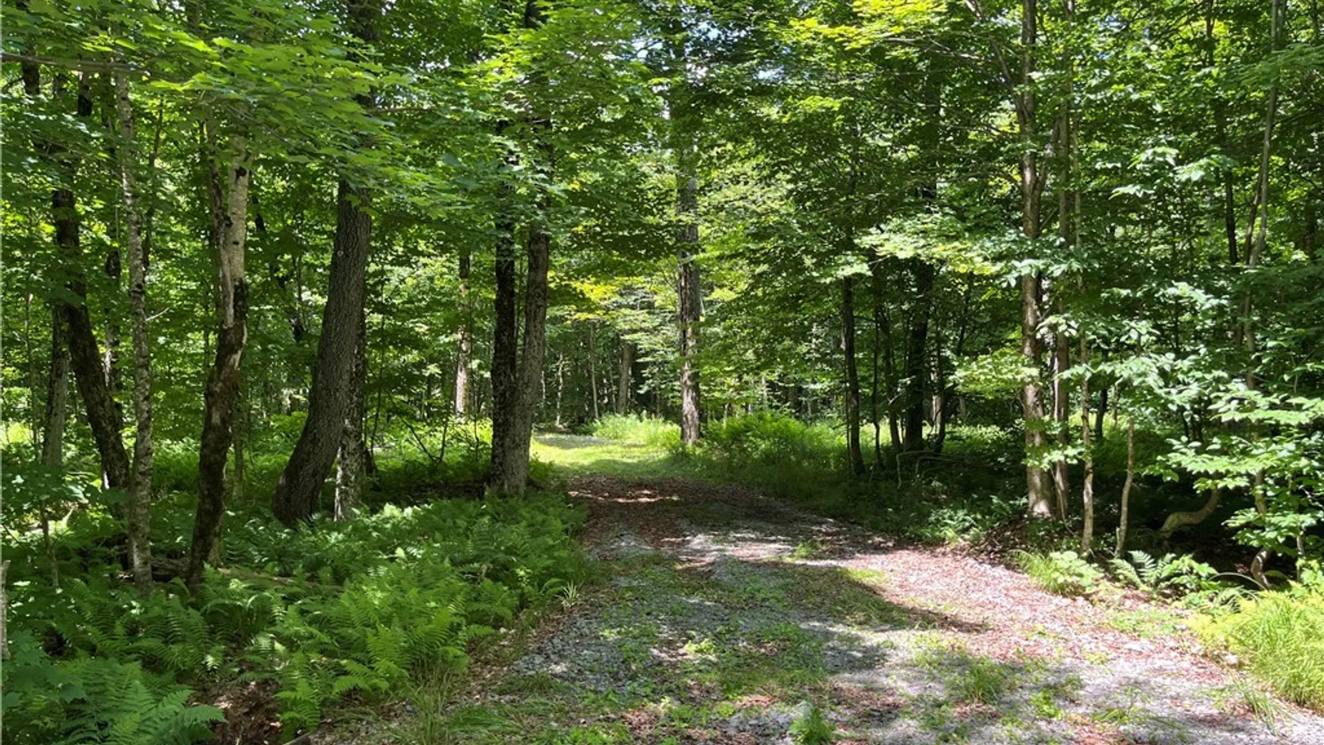 Property at E of Town Line Road, Worth, NY 13659 29