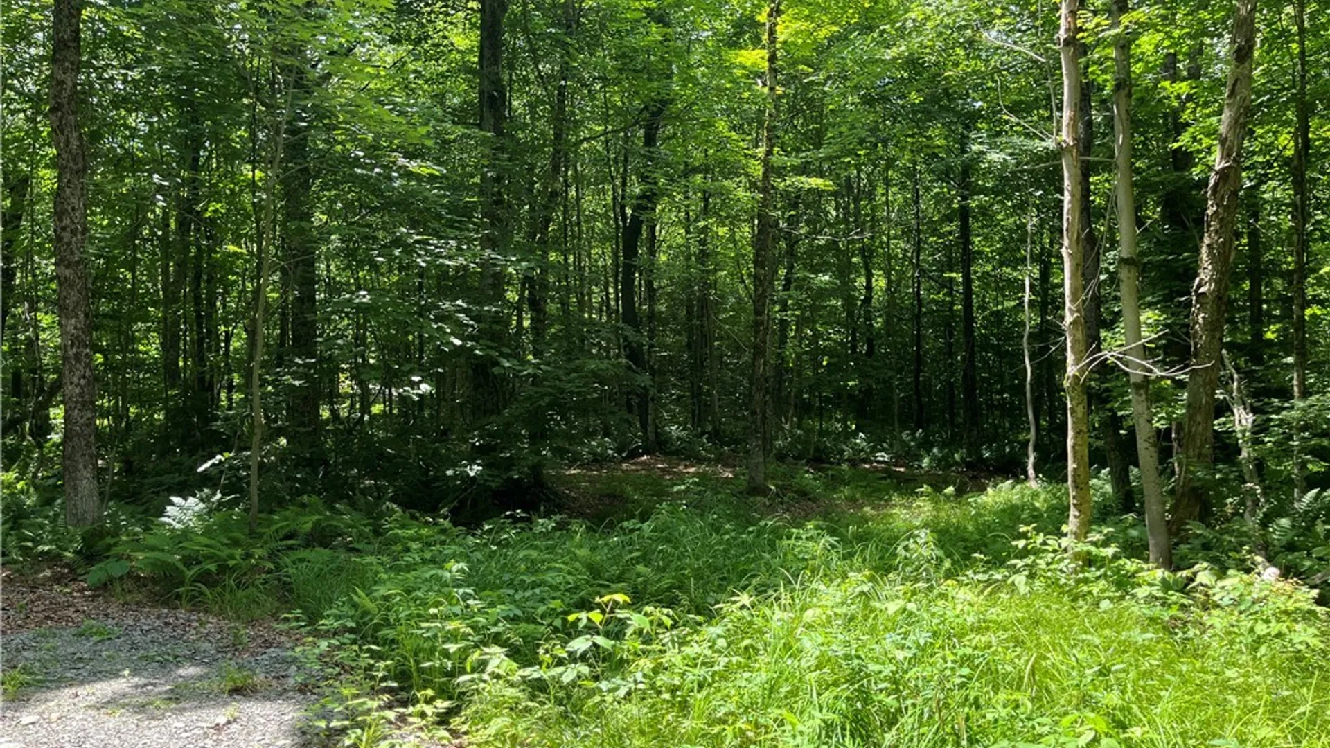 Property at E of Town Line Road, Worth, NY 13659 30