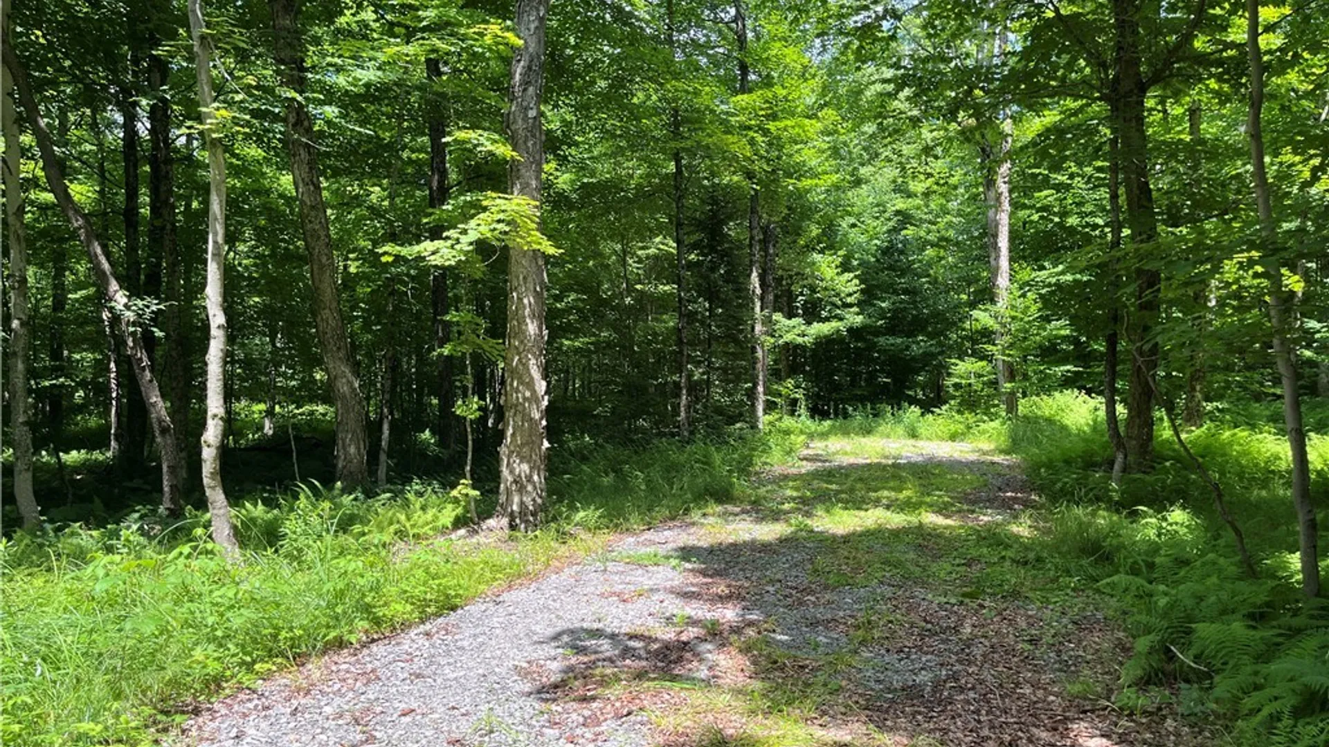 Property at E of Town Line Road, Worth, NY 13659 31