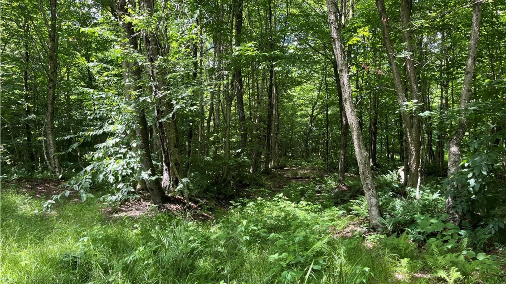 Property at E of Town Line Road, Worth, NY 13659 32