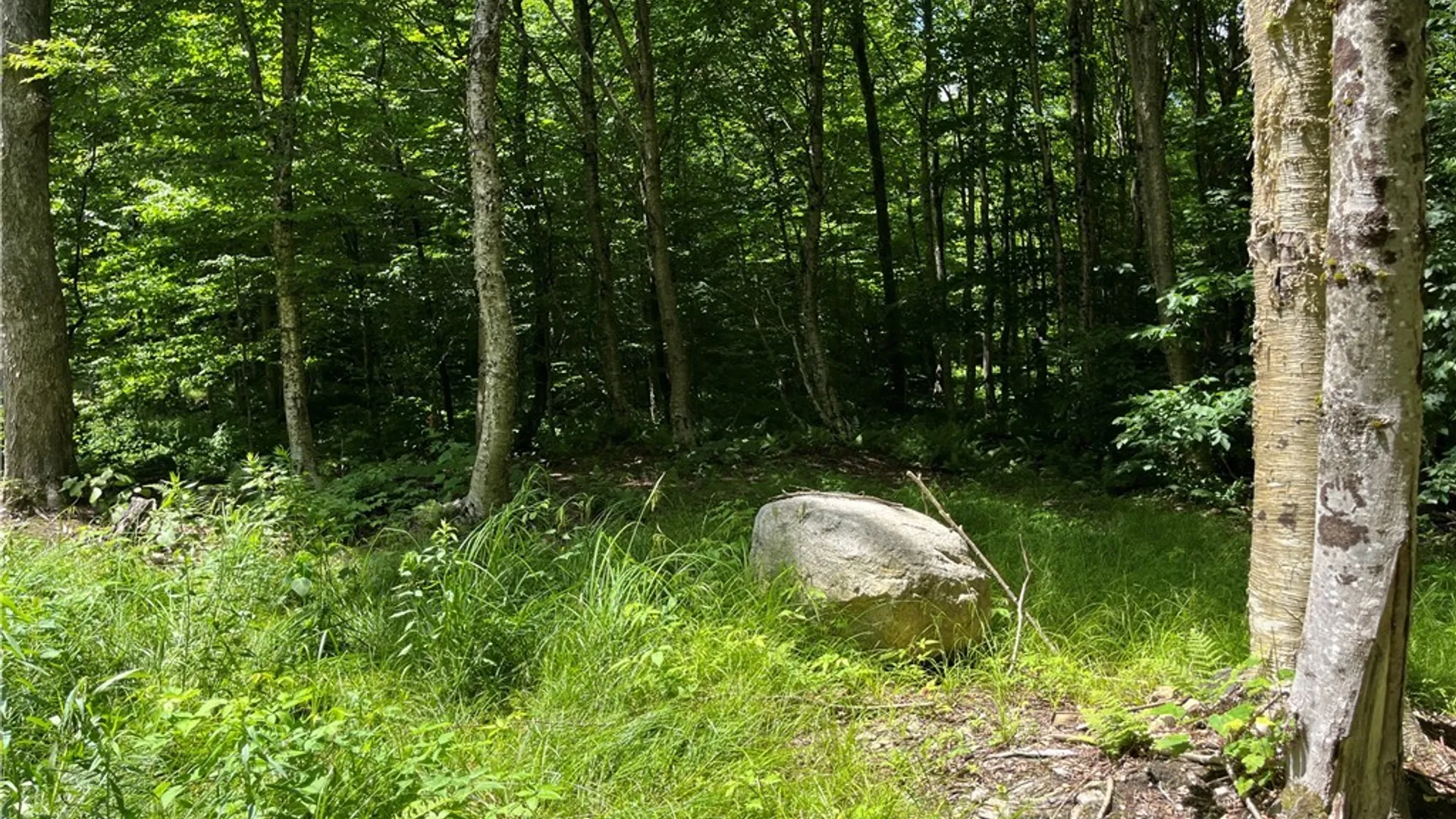 Property at E of Town Line Road, Worth, NY 13659 33
