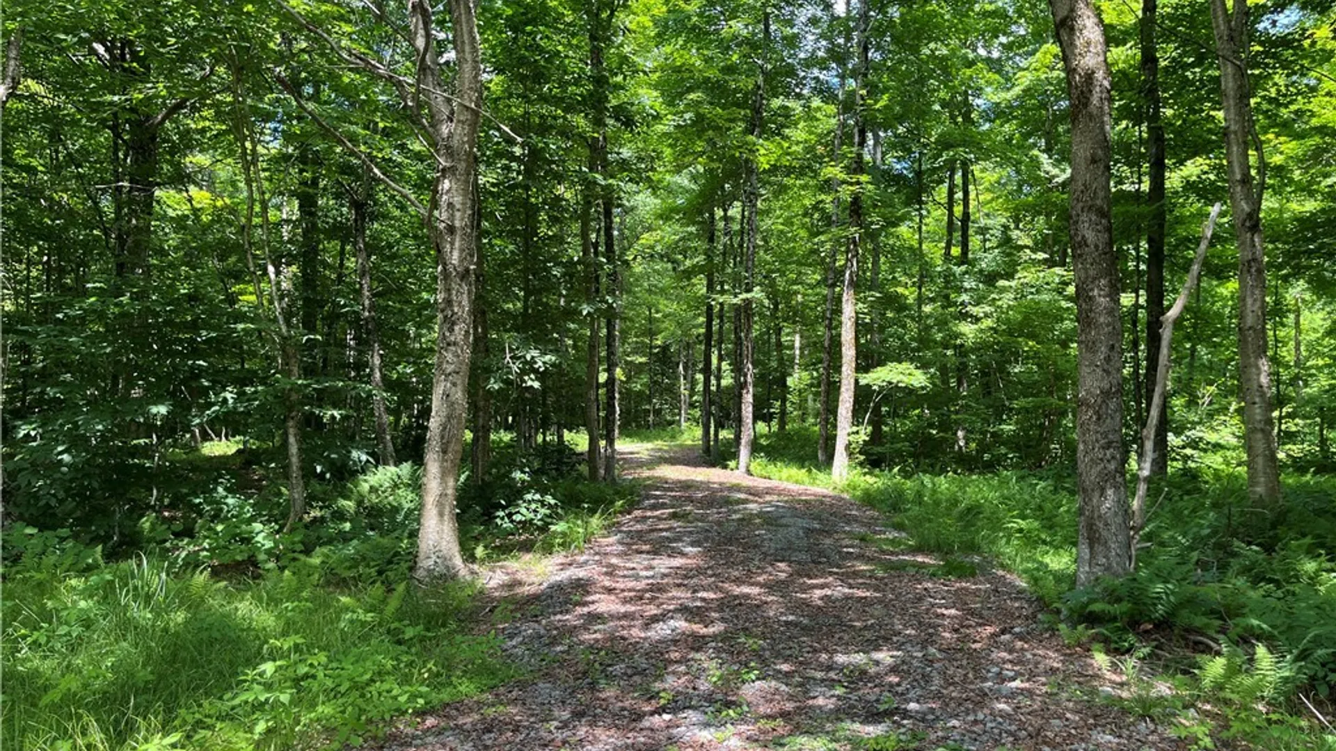 Property at E of Town Line Road, Worth, NY 13659 34