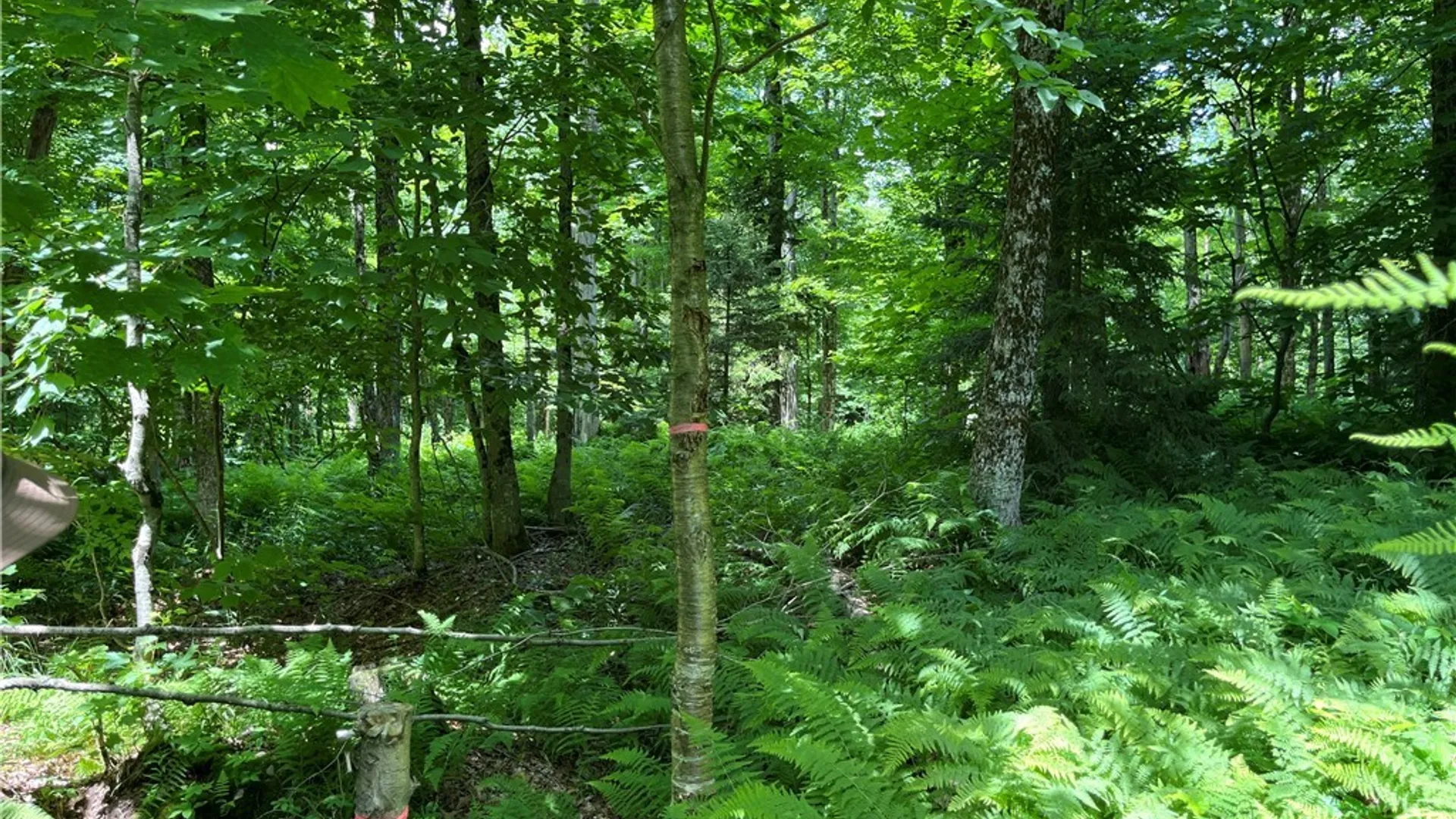 Property at E of Town Line Road, Worth, NY 13659 9