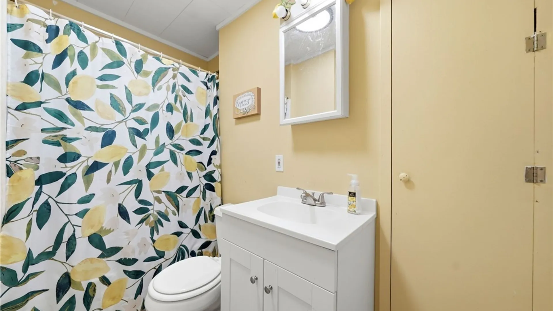 Property at 111 Tindle Avenue, West Seneca, NY 14224 30