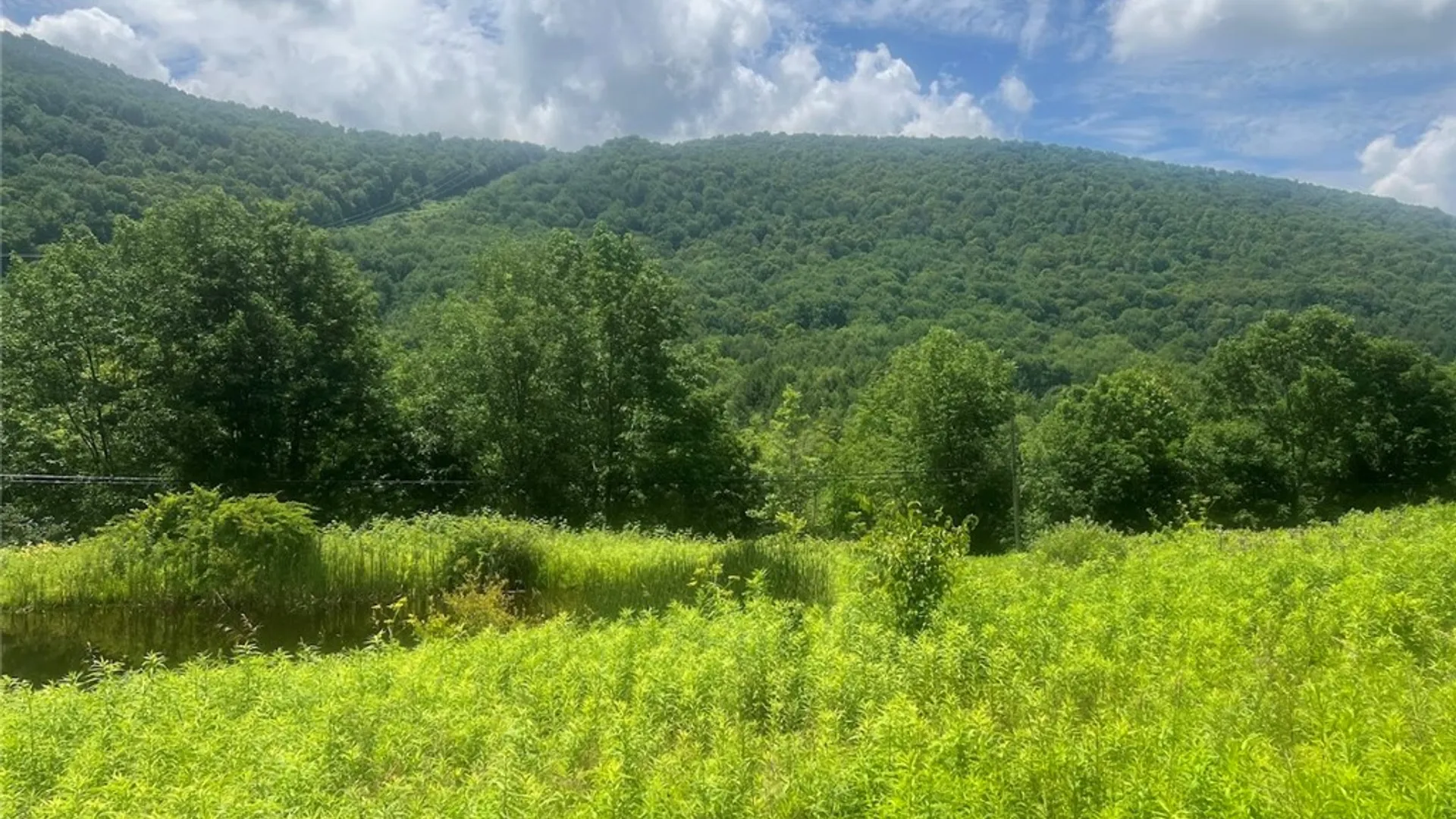 Property at Bramley Mountain Road, Delhi, NY 13753 11