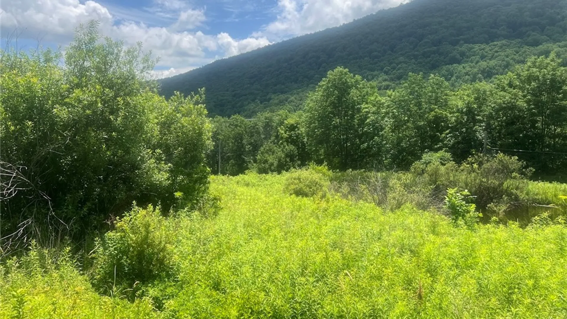 Property at Bramley Mountain Road, Delhi, NY 13753 12