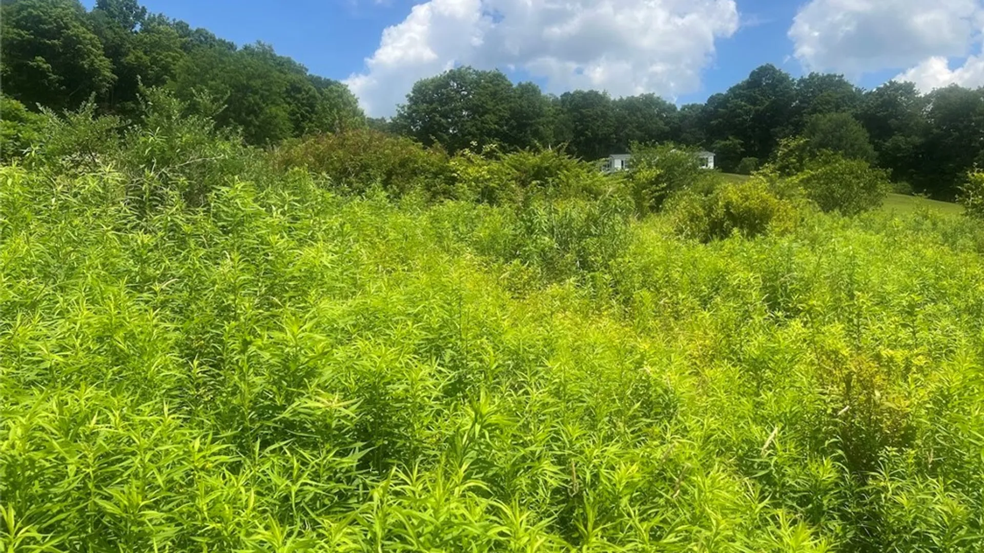 Property at Bramley Mountain Road, Delhi, NY 13753 14