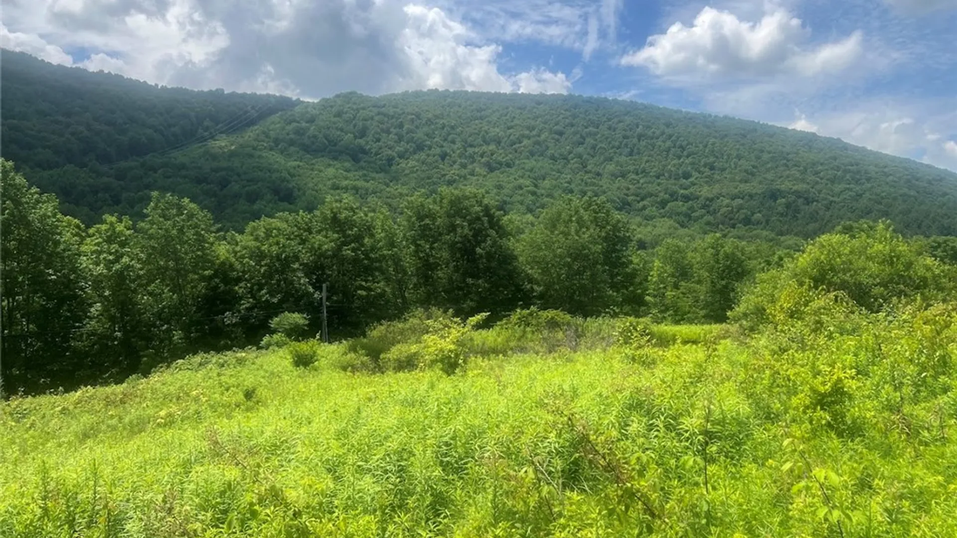 Property at Bramley Mountain Road, Delhi, NY 13753 3