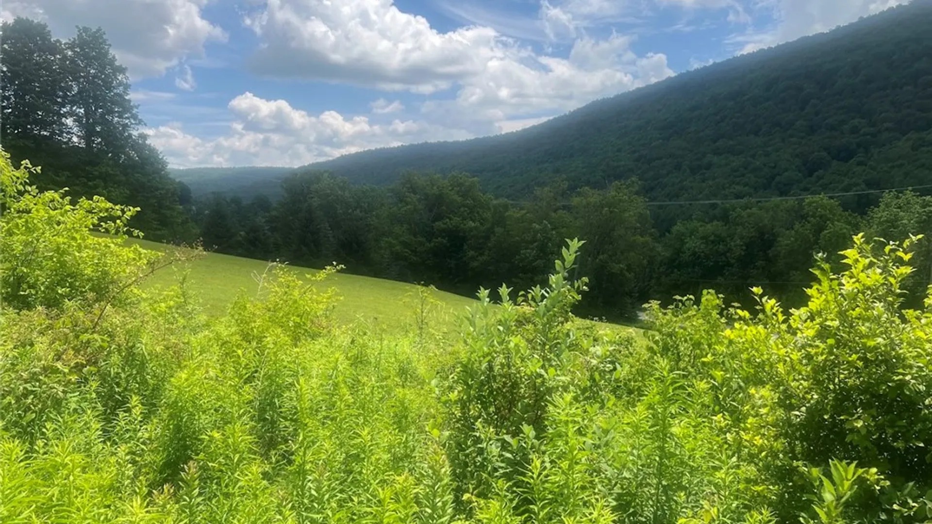 Property at Bramley Mountain Road, Delhi, NY 13753 4